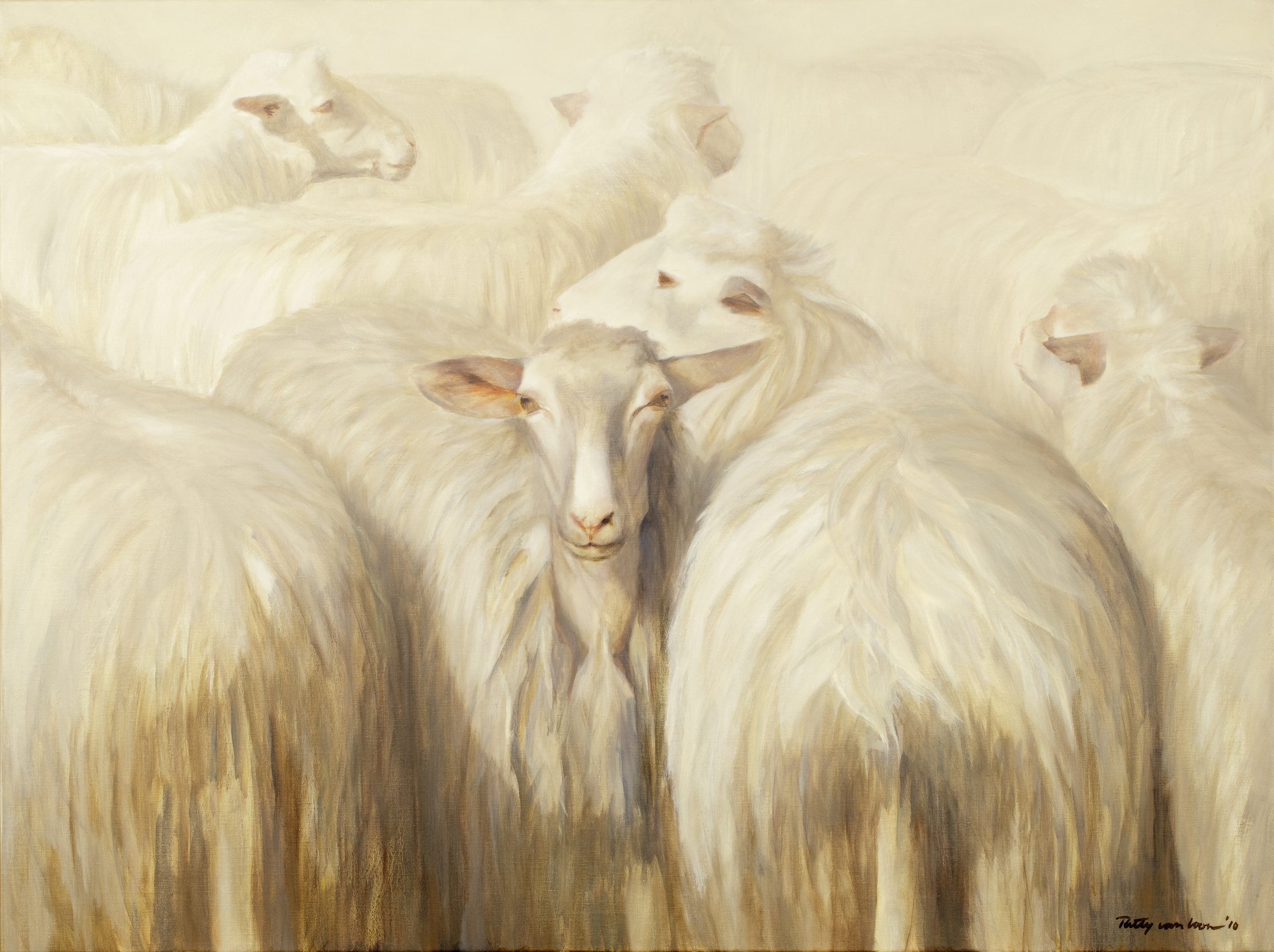   Toscaanse schapen 2, &nbsp;olieverf op linnen, 120 x 140 cm. Verkocht. 