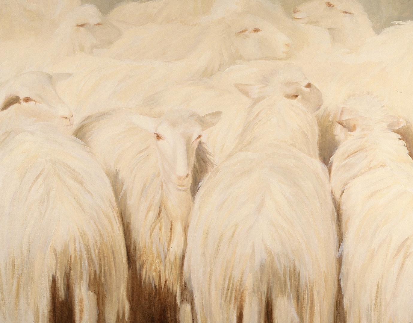   Toscaanse schapen,  olieverf op linnen, 100 x 120 cm. Prijs op aanvraag. 