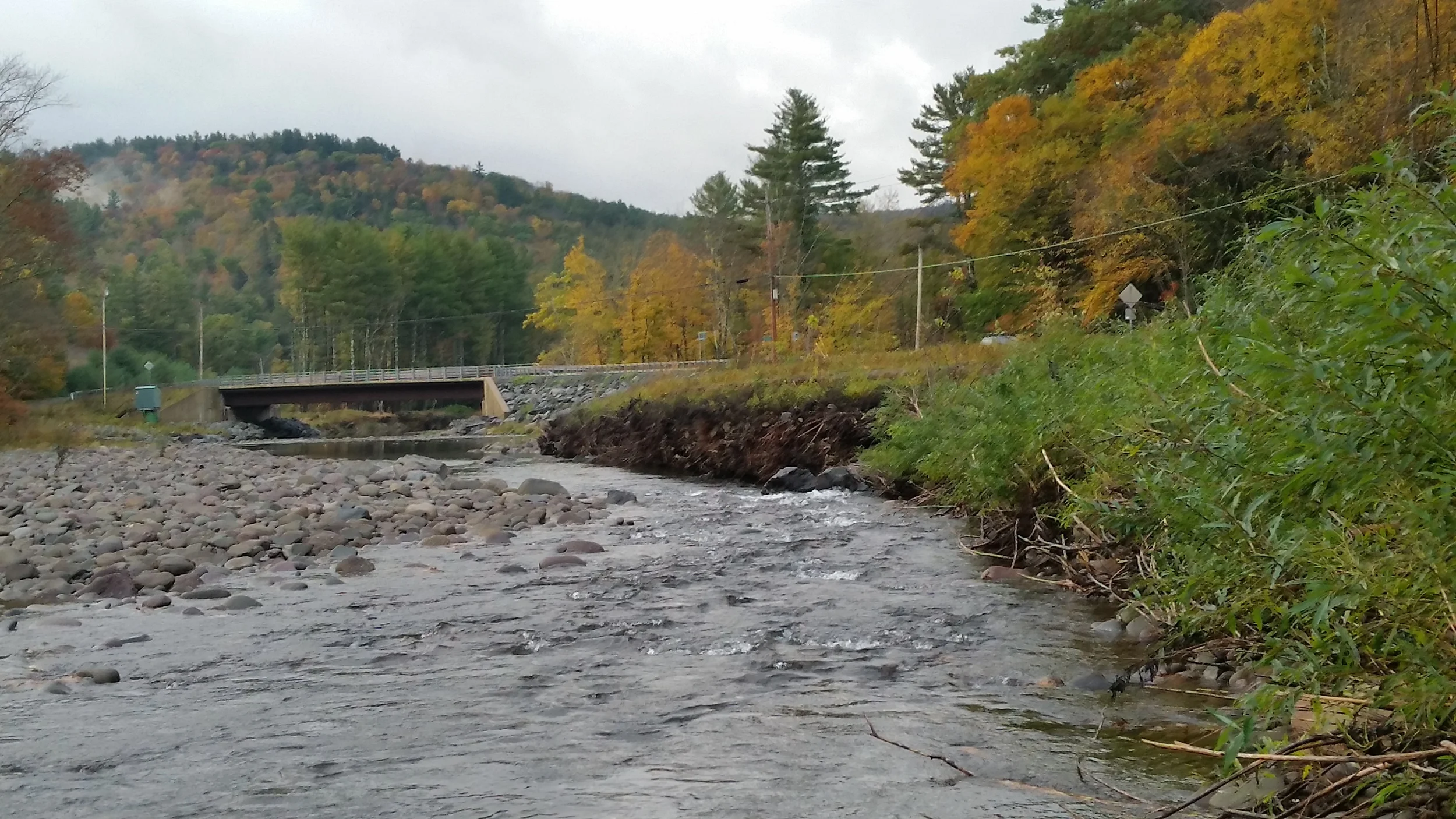Habitat Restoration Demonstration Project at County Bridge 157, W. Branch Neversink 