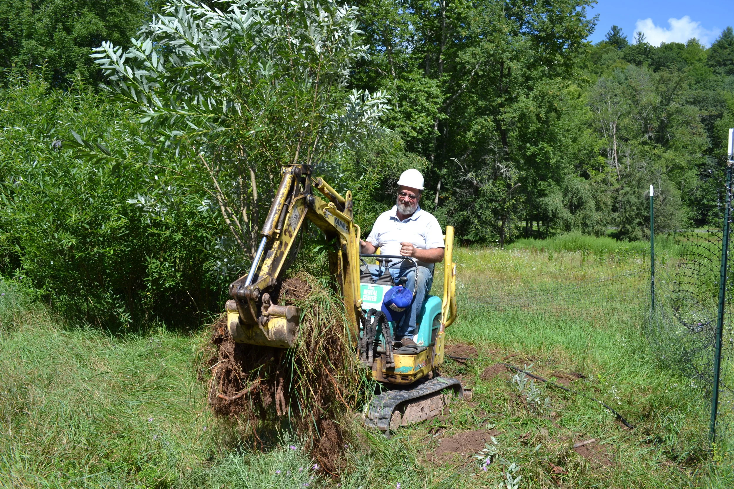 Willow Clump Harvest at ball fields along Rondout Creek (CSBI)