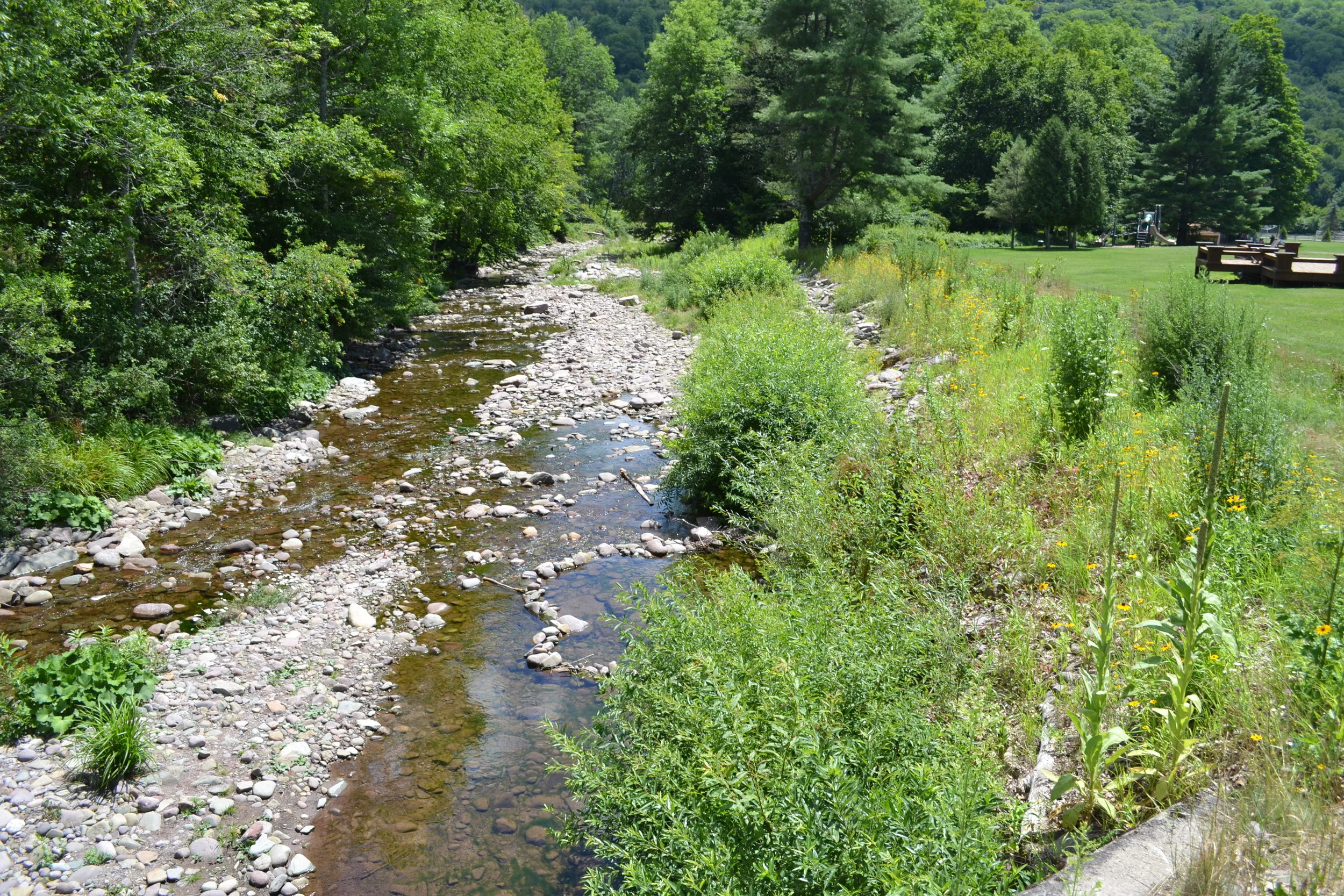Erosion Repair & Buffer Planting, Biscuit Creek at Frost Valley YMCA
