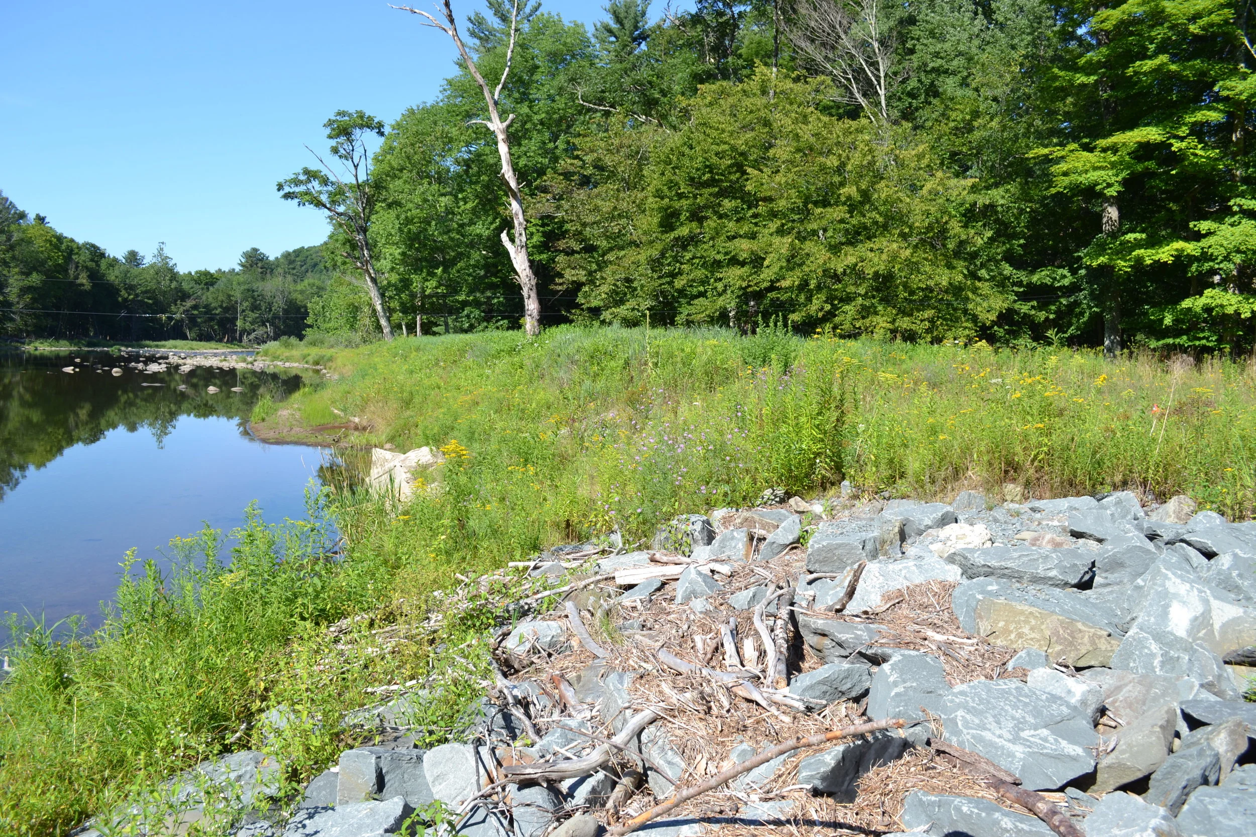Riparian Buffer Planting at Halls Mills Covered Bridge, Main Stem Neversink River (CSBI)