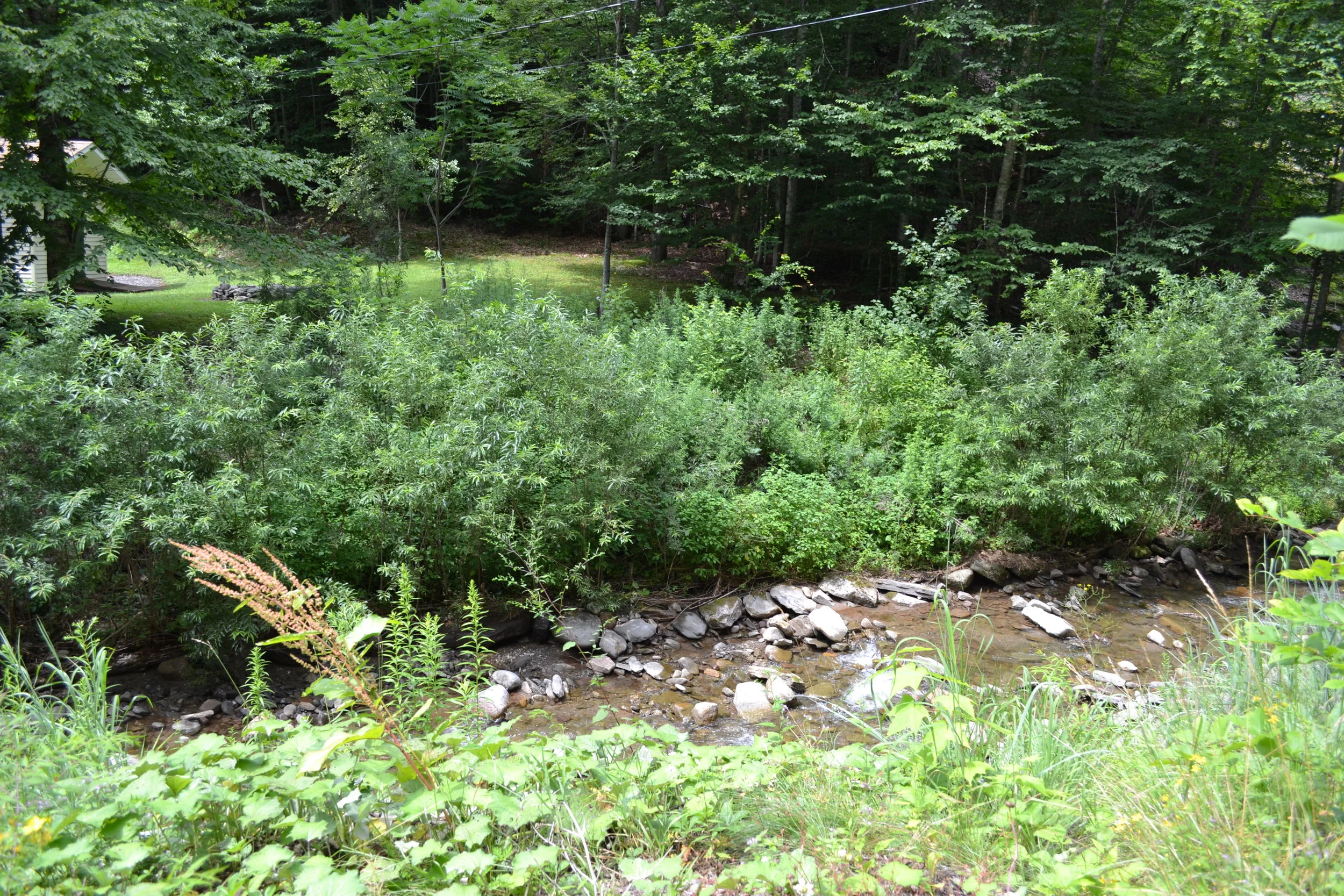 Stream Bank Stabilization, Tributary to Sundown Creek 