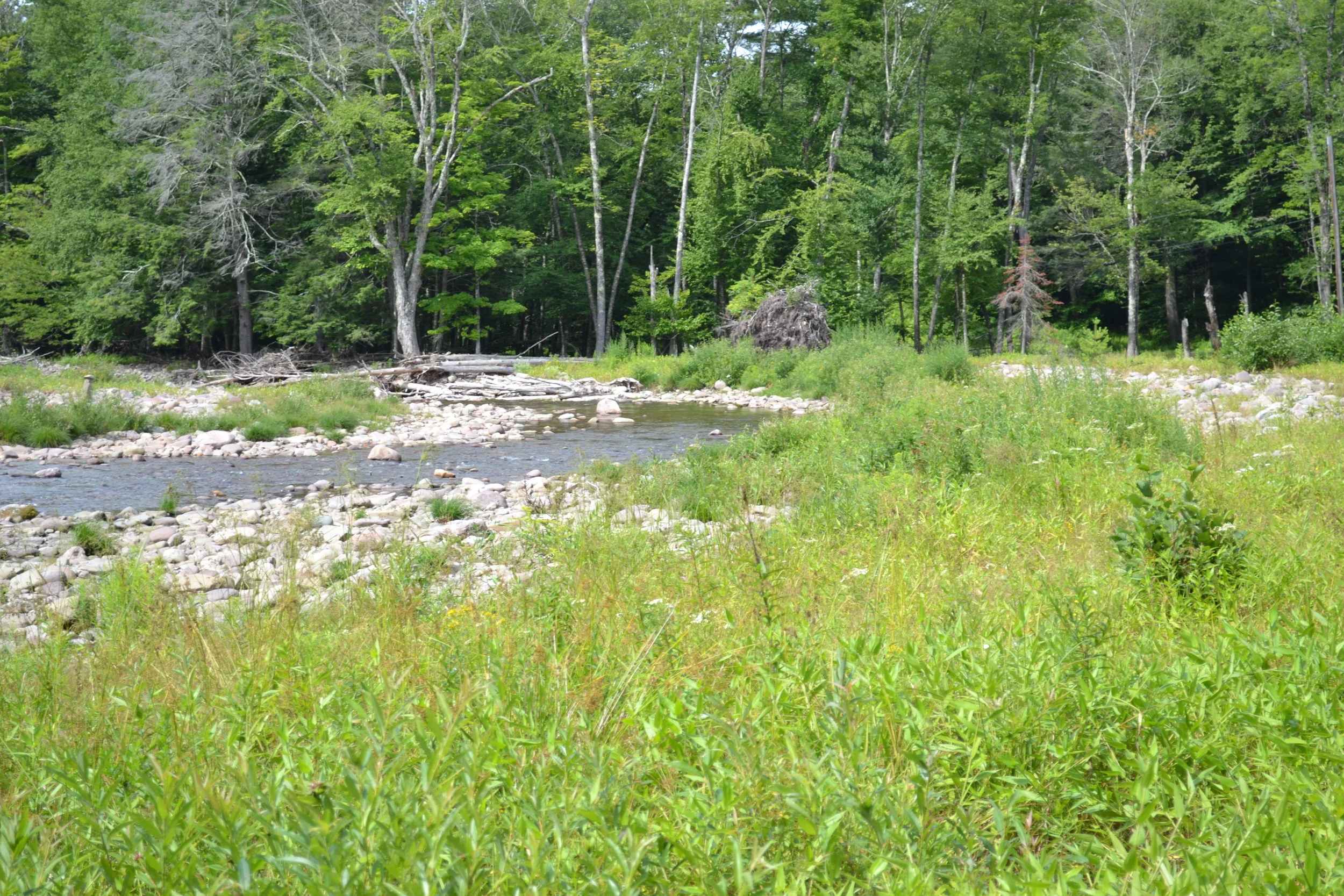 Stream Channel Alignment and Buffer Planting for Road Protection at Denning Road, E. Branch Neversink 