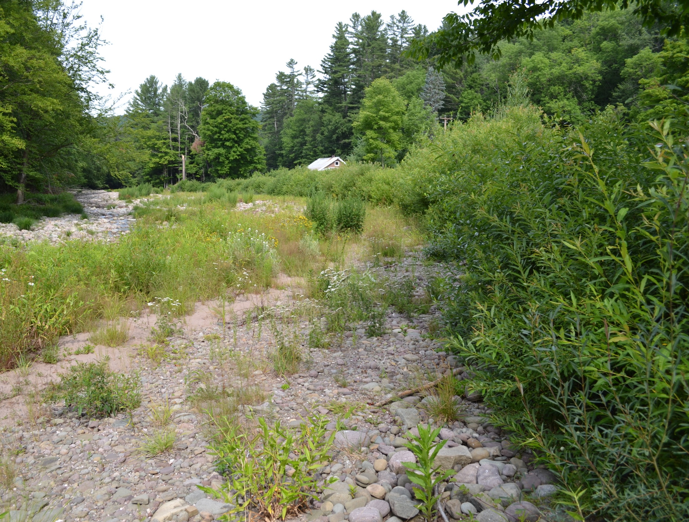 Stream Bank Stabilization with Coir Blocks, E.Branch Neversink River