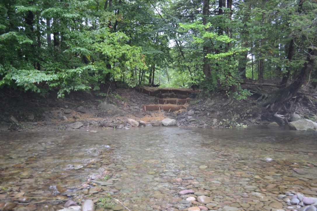 Avulsion Protection East Bank Neversink River, Claryville