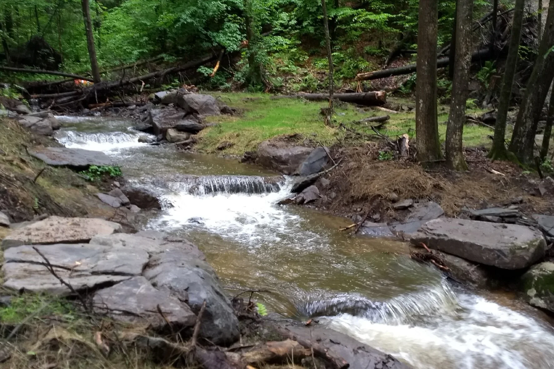 Little Hollow Road Protection (CSBI)