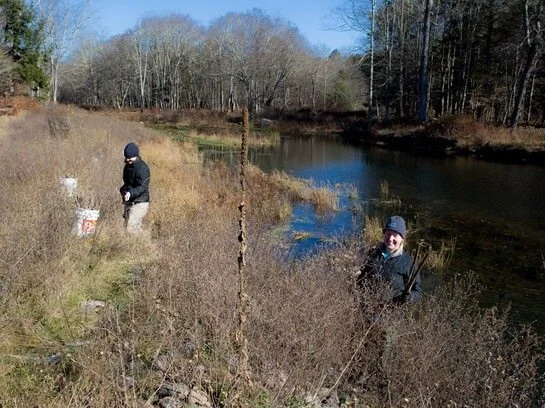 W. Branch Neversink River Frost Valley YMCA Buffer Planting (CSBI)
