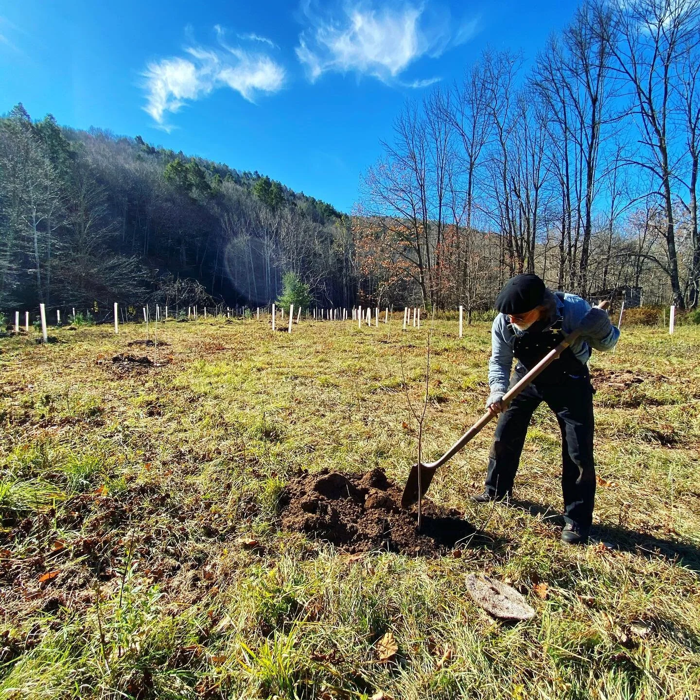 Thank you to everyone who helped plant this week at our largest CSBI planting to date! Together, we&rsquo;ve planted over 400 Catskill native trees &amp; shrubs (and counting) across 1,460 feet of Rondout Creek stream edge. With a variety of over 20 