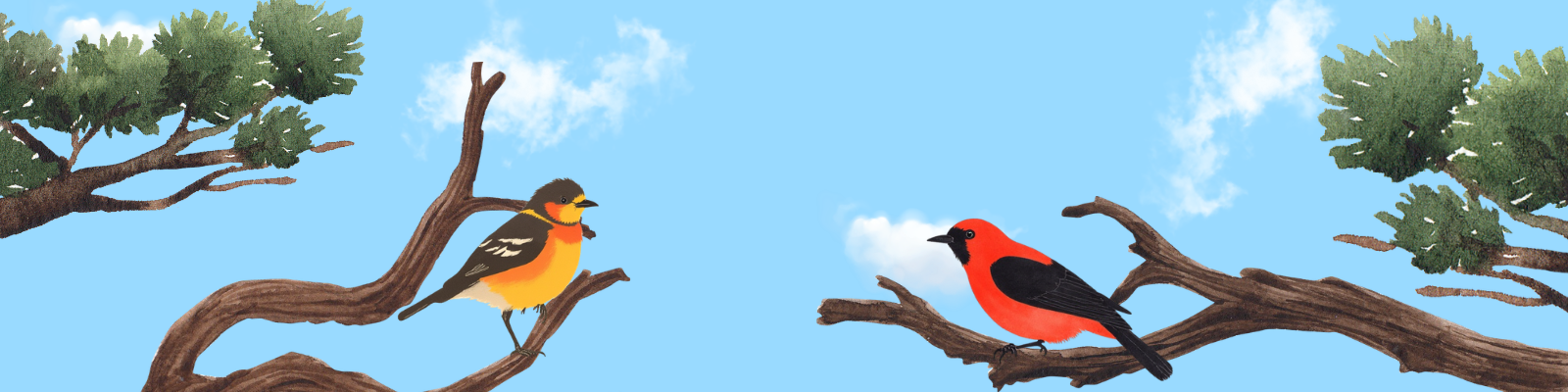 Wings of Spring Registration Header (2).png