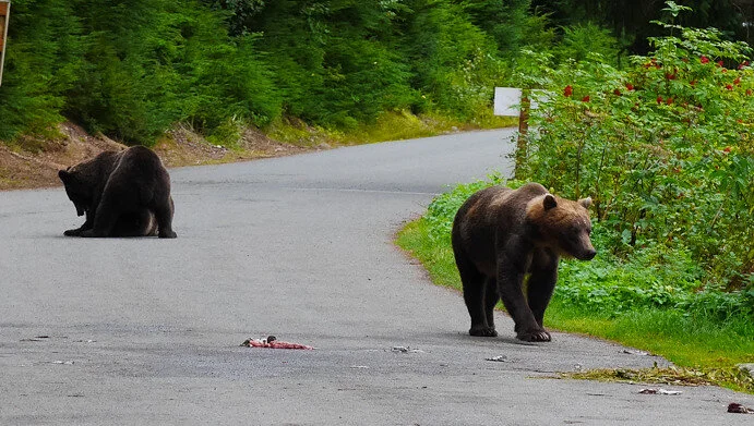 Alaska