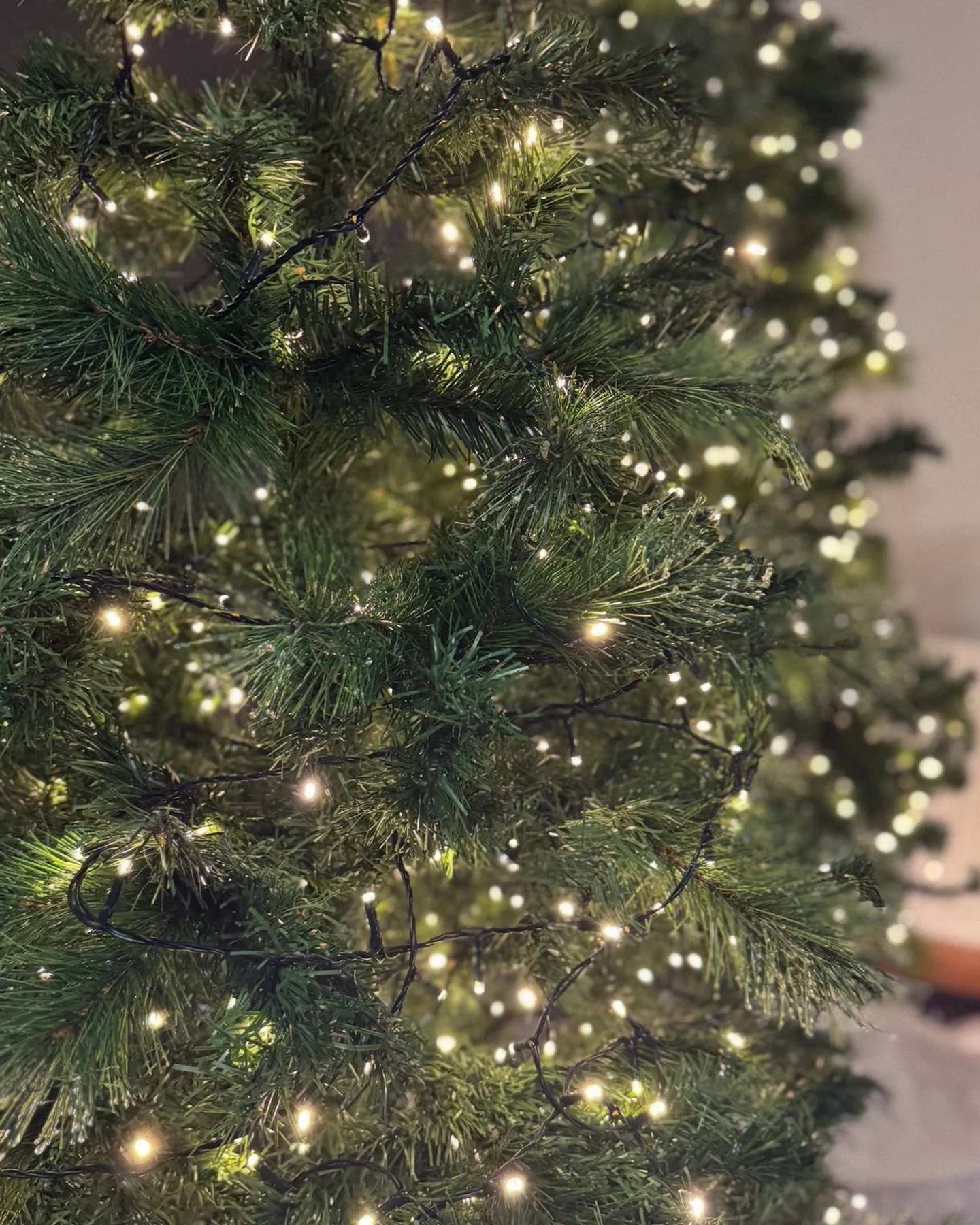 ✨ This week&rsquo;s schedule ✨ 

Tuesday 
6:30pm - Sunshine Corner ☀️ 
 
Thursday 
6:30pm - Prayer meeting 🙏 

Saturday 
6:30pm - Youth 🚀 

Sunday 🎶 
11am - Songs of Christmas 🎄 
6:30 - Carol service 🔔