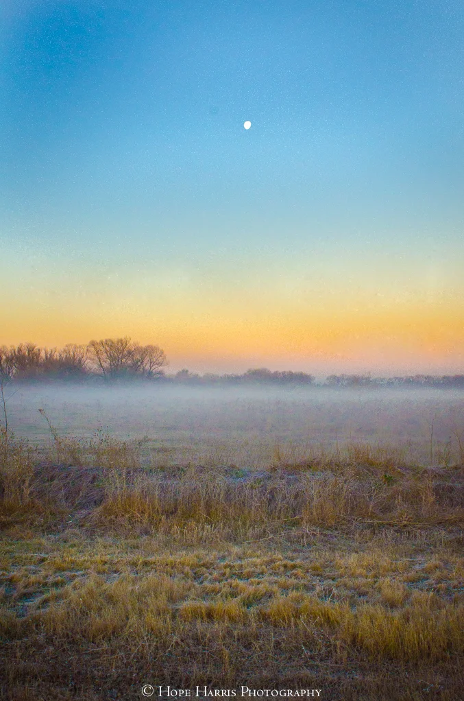 fog (1 of 1).jpg