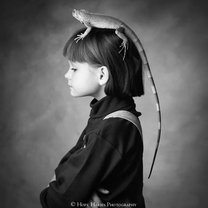 chapeau (1 of 1).jpg