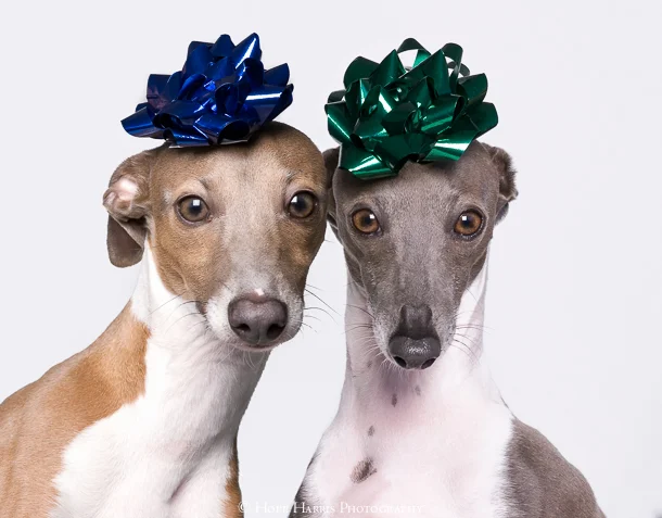 pia and baci (1 of 1).jpg