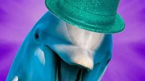 SPONGEBOB THE MUSICAL - DOLPHINS
