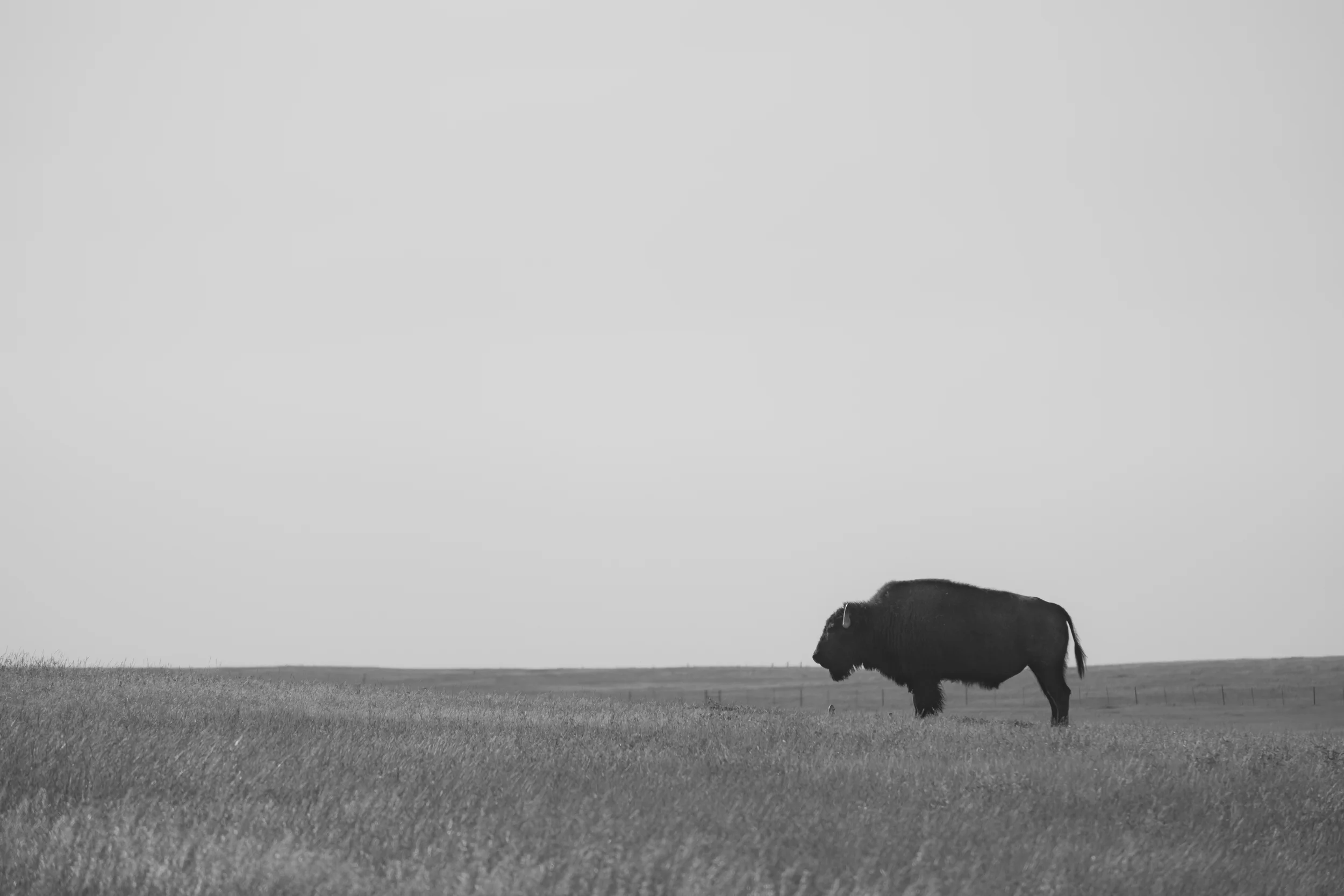 DSCF7191.jpg