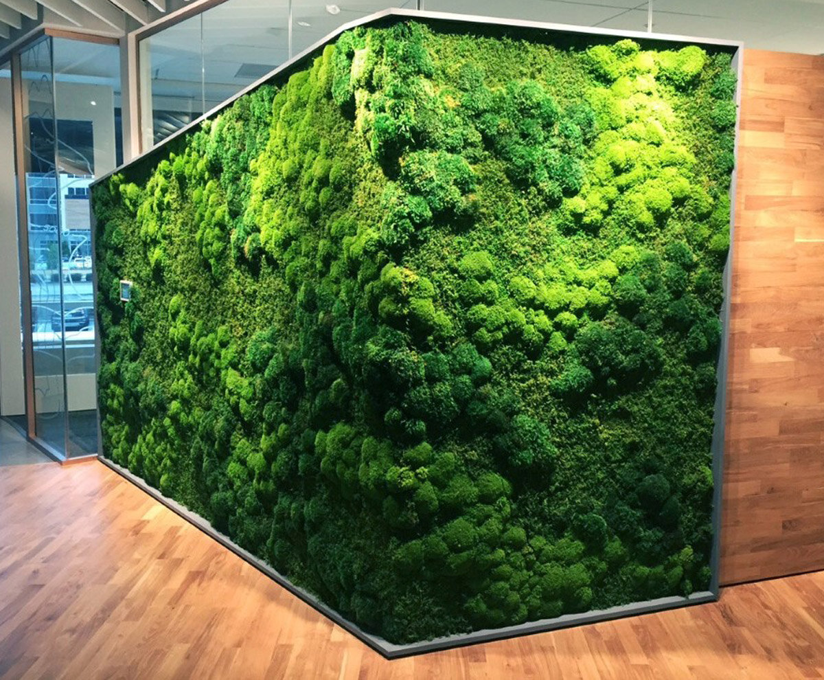 DIY Reindeer Moss Panels- Interior Wall Features – Moss Acres