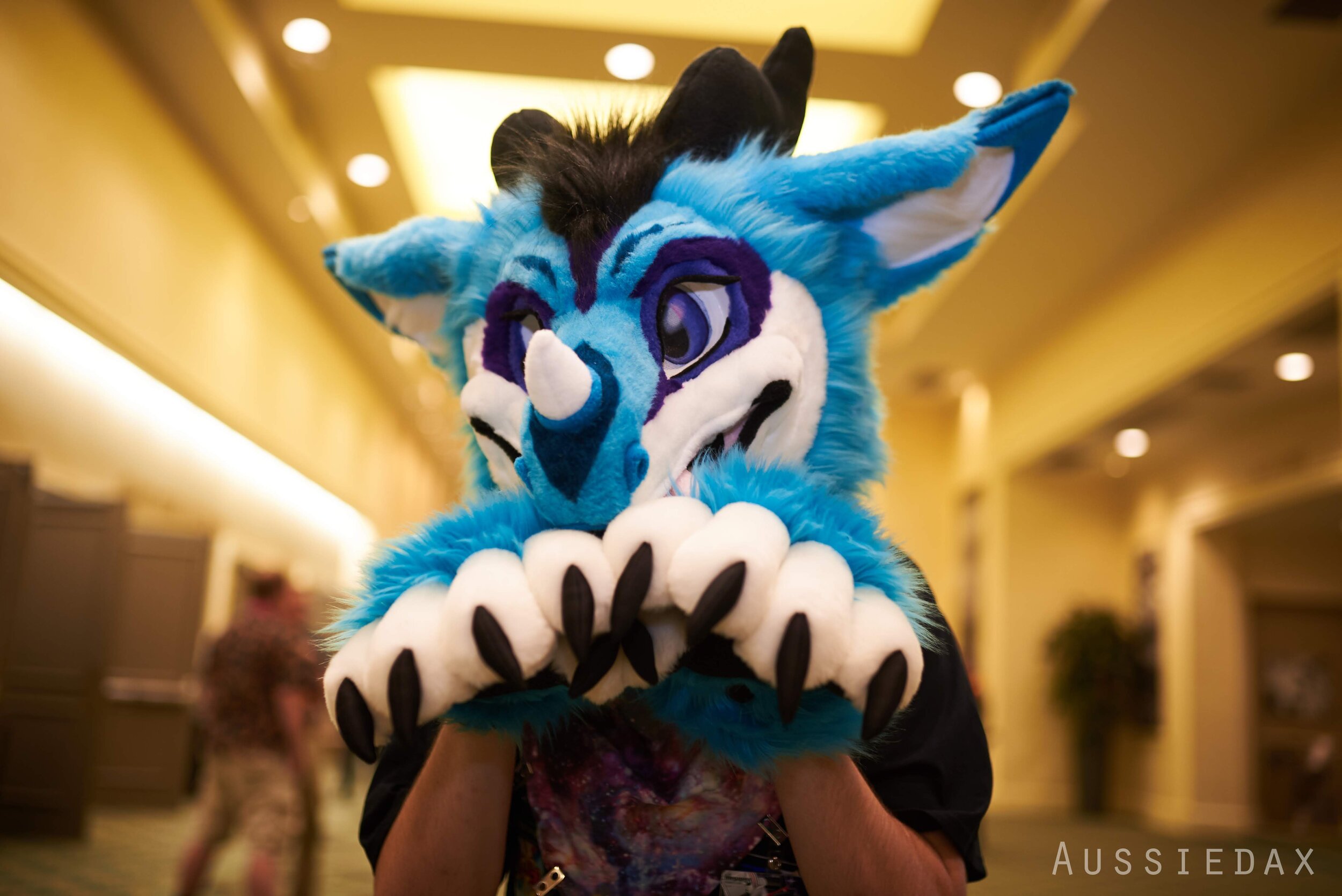 Copy of IMG_4533.JPG