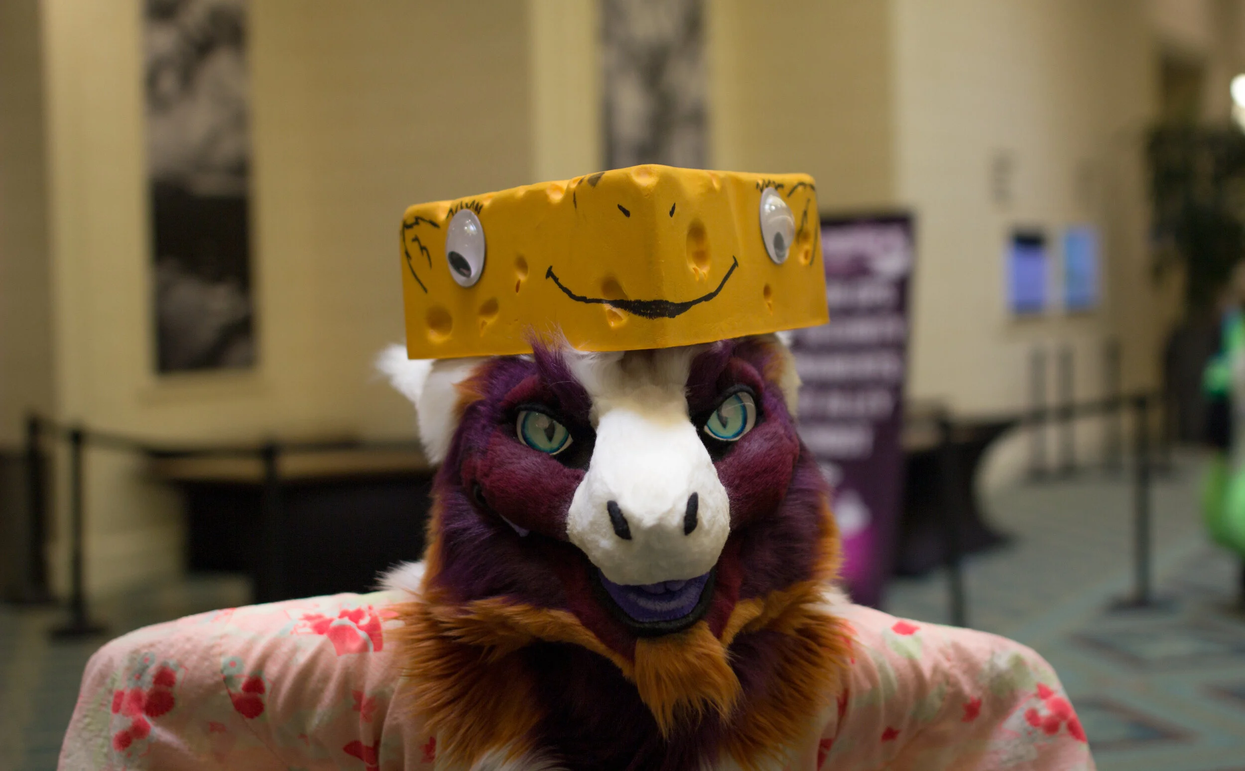 Copy of IMG_5347.JPG