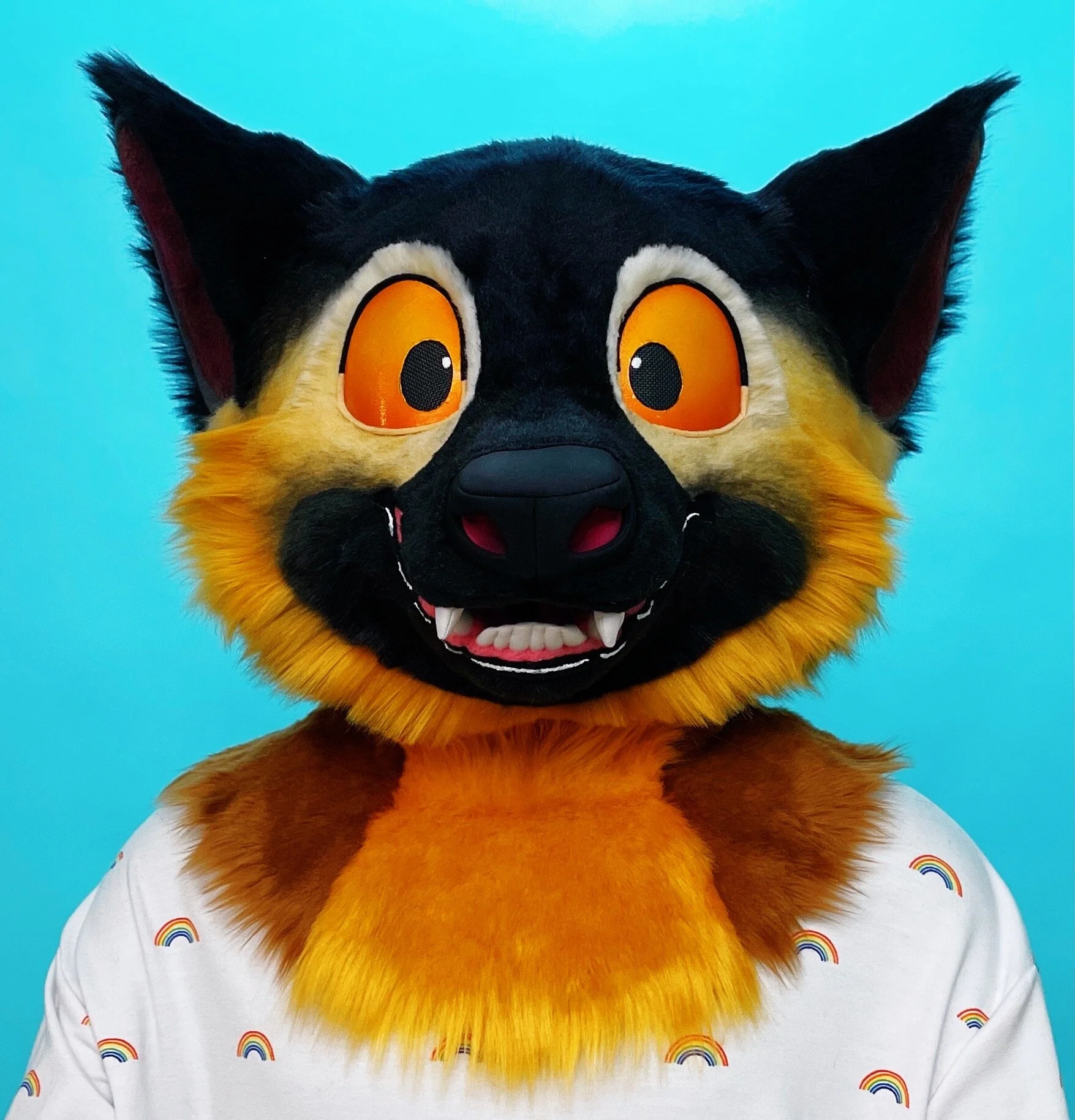 07B6A078-1A57-4212-805C-61D827EE21C9