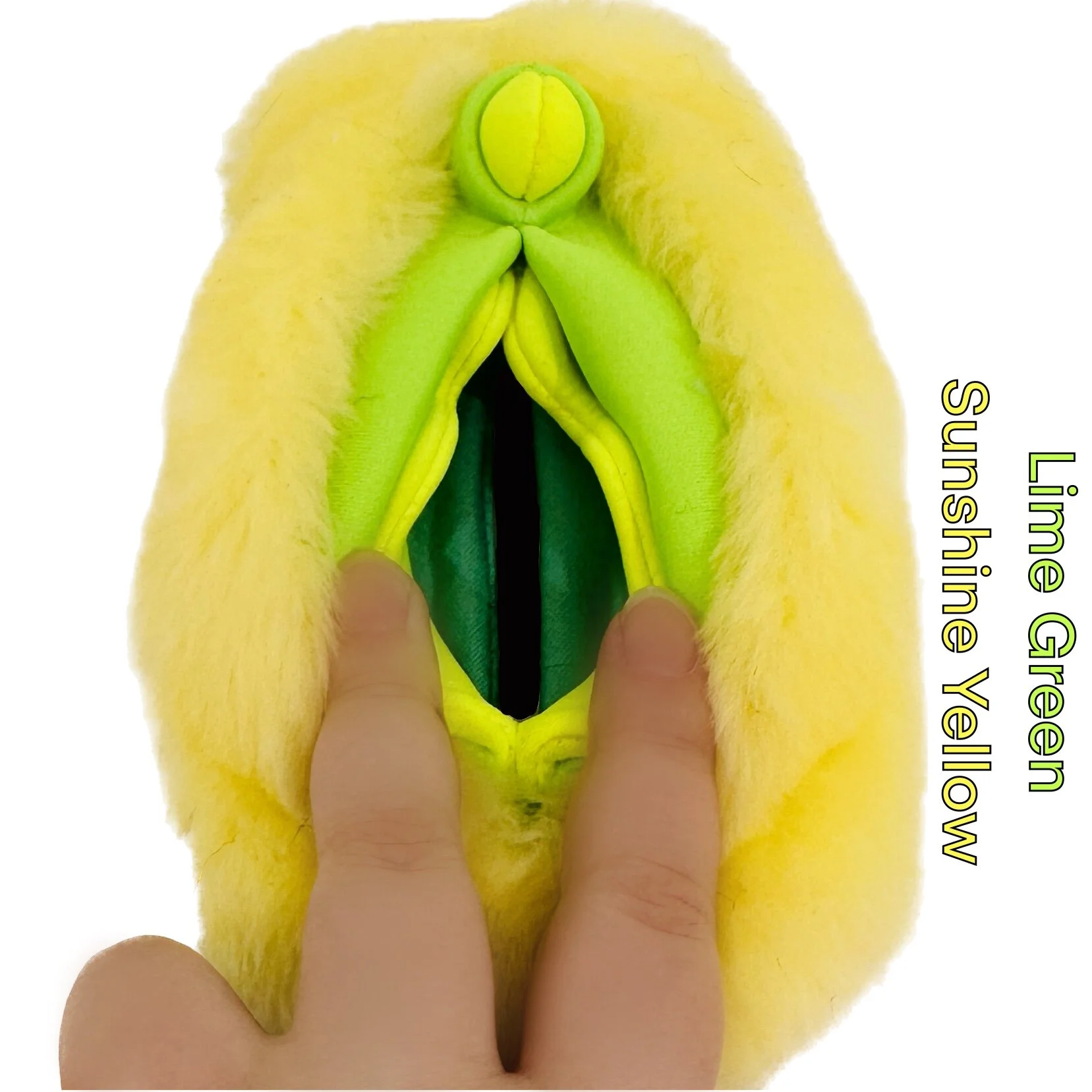 40AFAD4F-7C55-4FB1-95D9-B270B79514DE