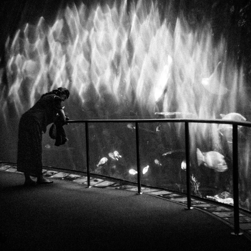 ArtFair-Replace-013.jpg