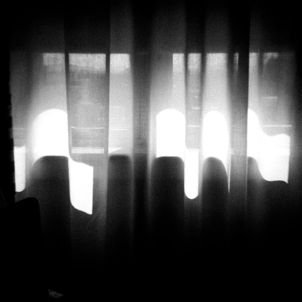 Morning Light