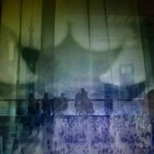 Gallery-Absorption-300x300.jpg