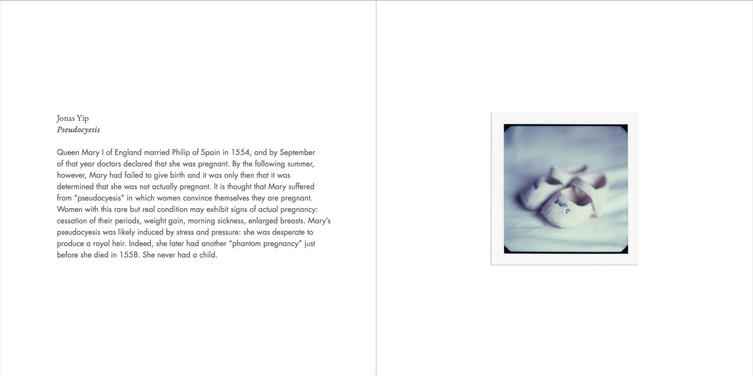 TruthFictionPages-021.jpg