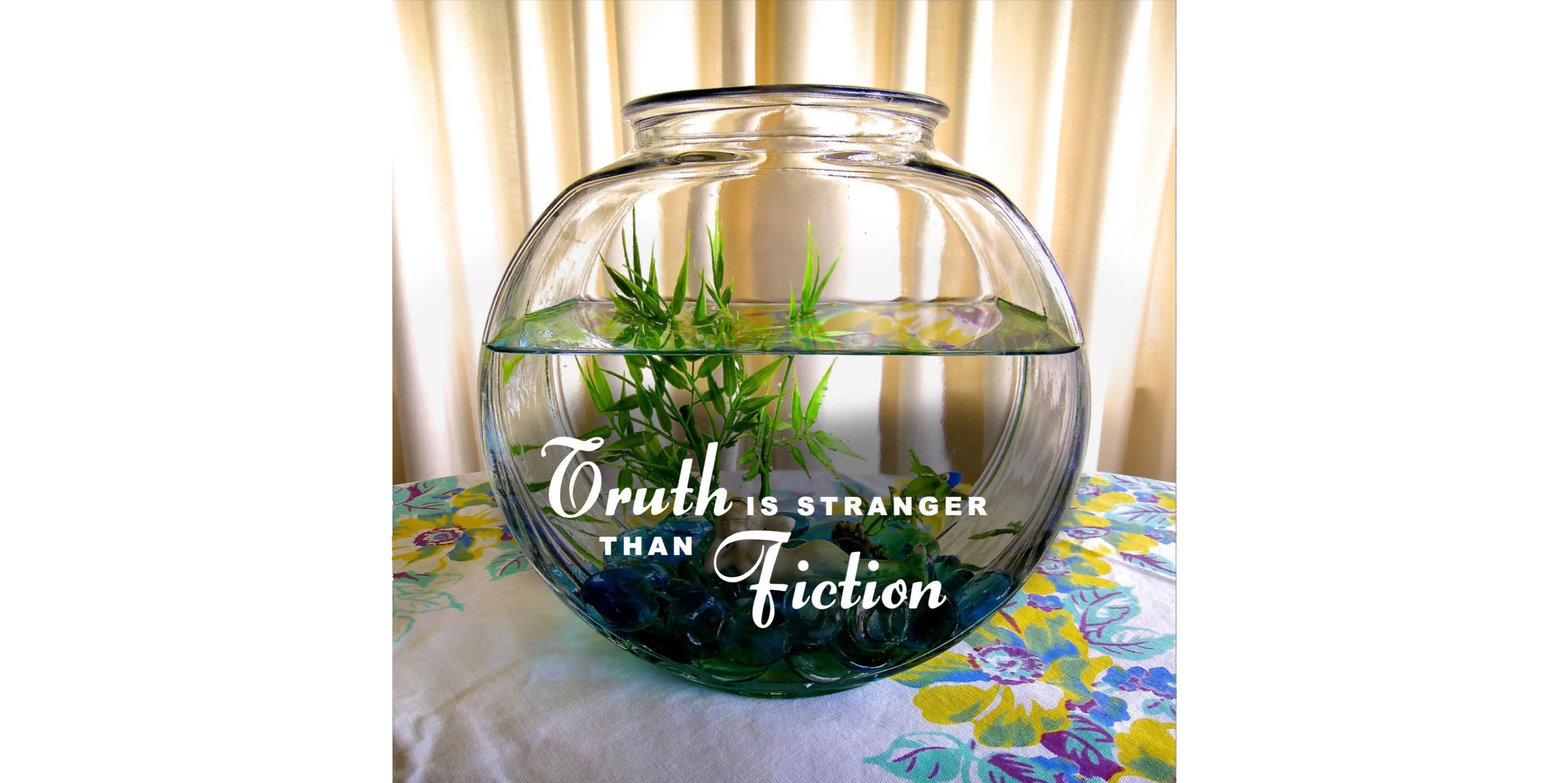 TruthFictionPages-001.jpg