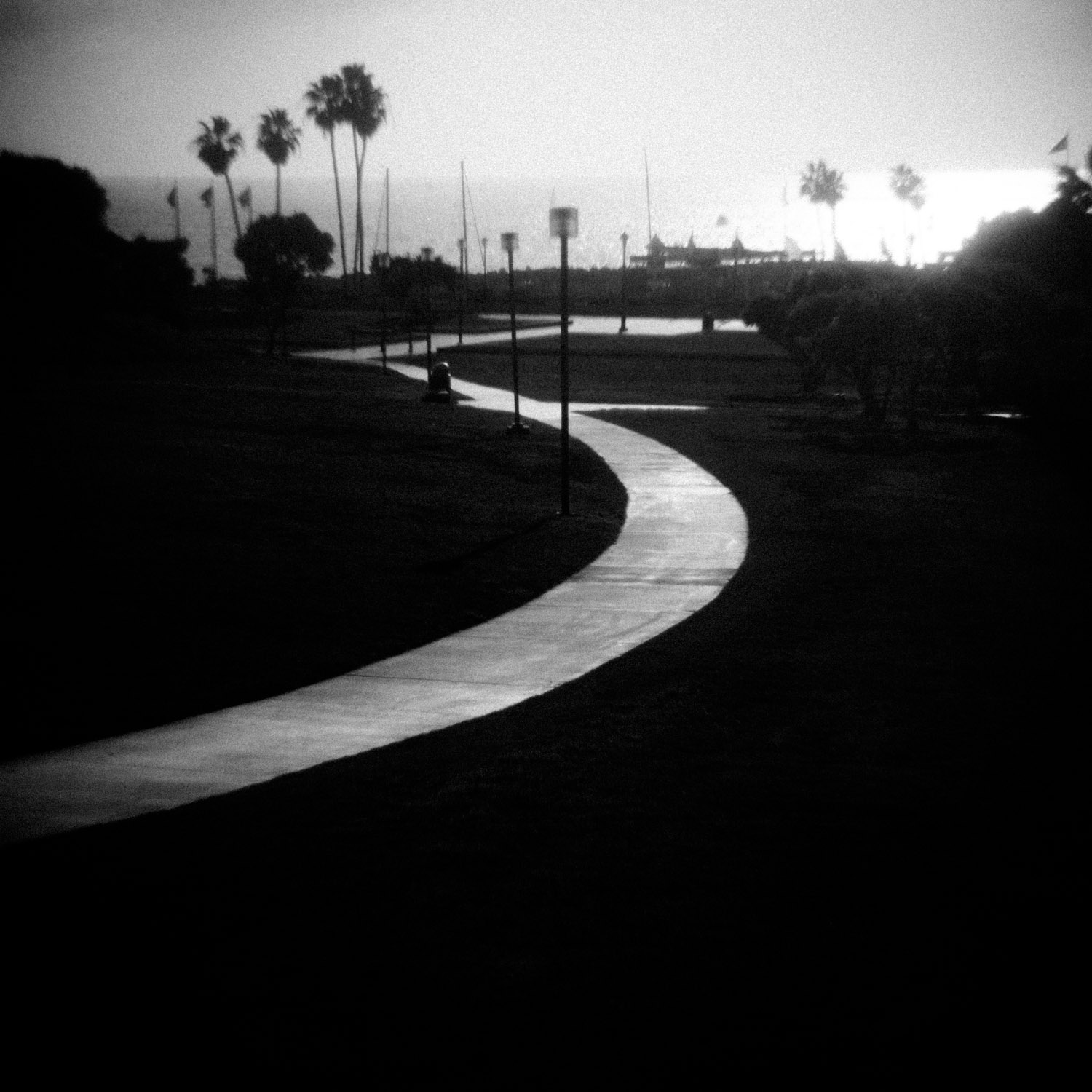 YIp_Jonas-TheHarborPath1.jpg