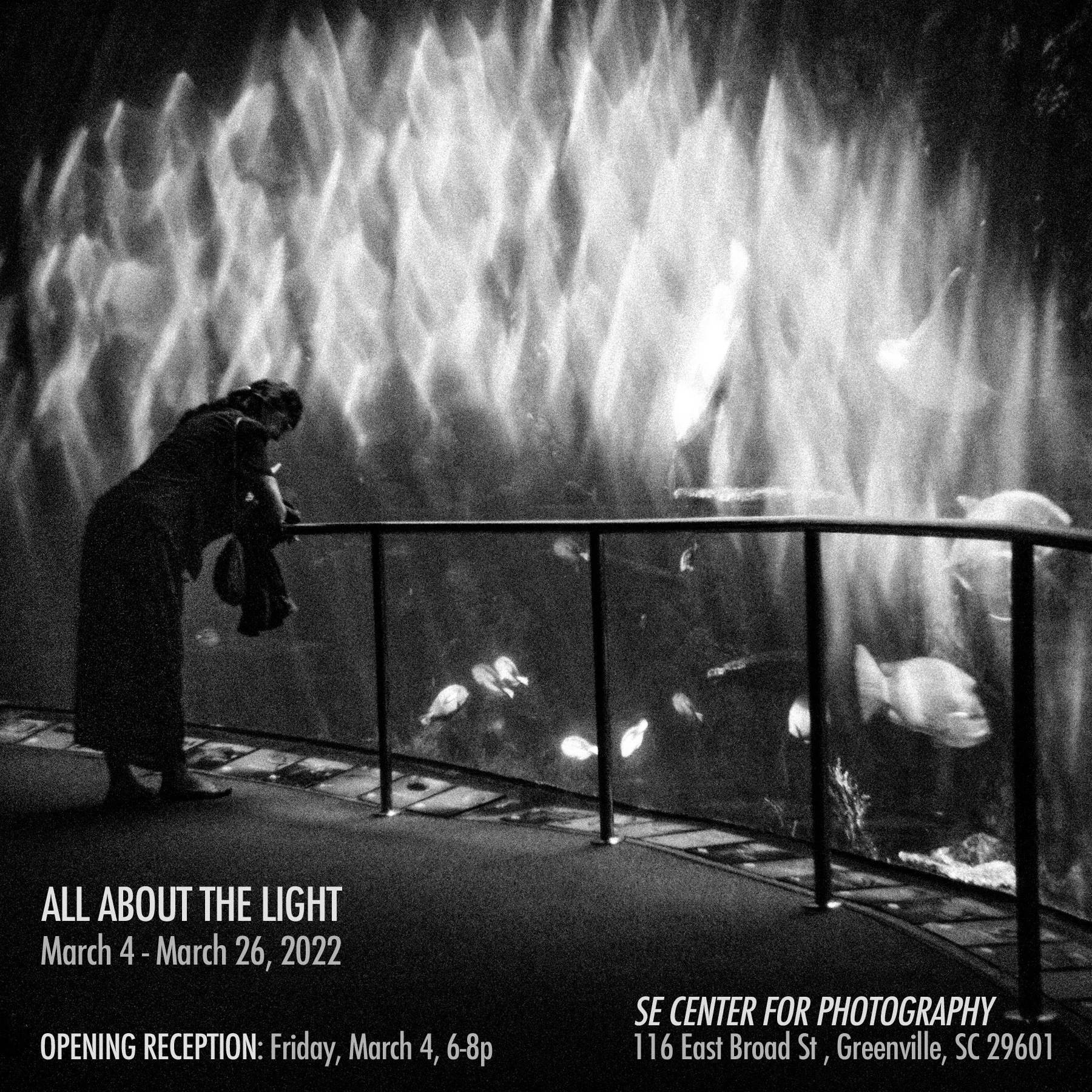 All About the Light at SEC4P