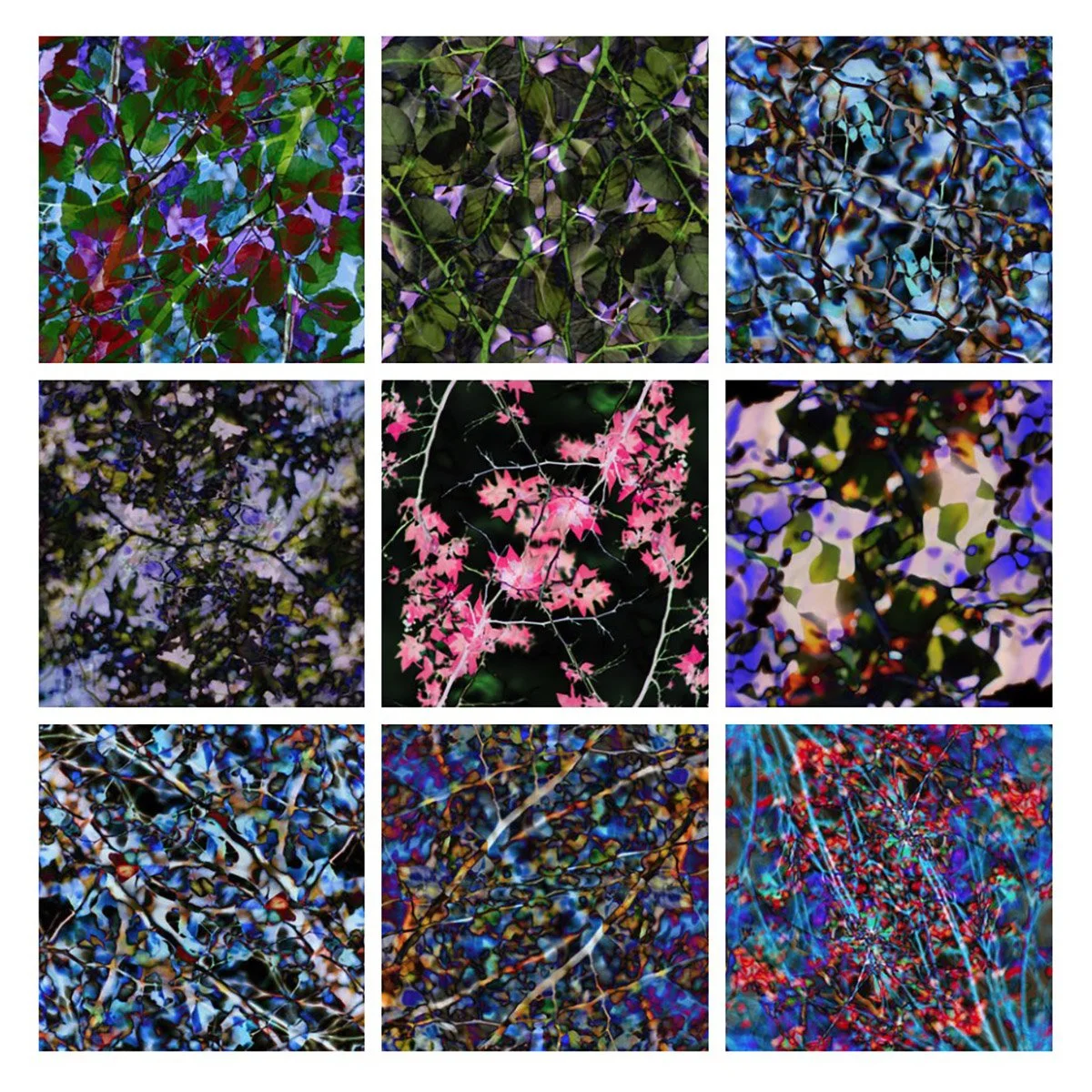 KOMOREBI Prints on Sale