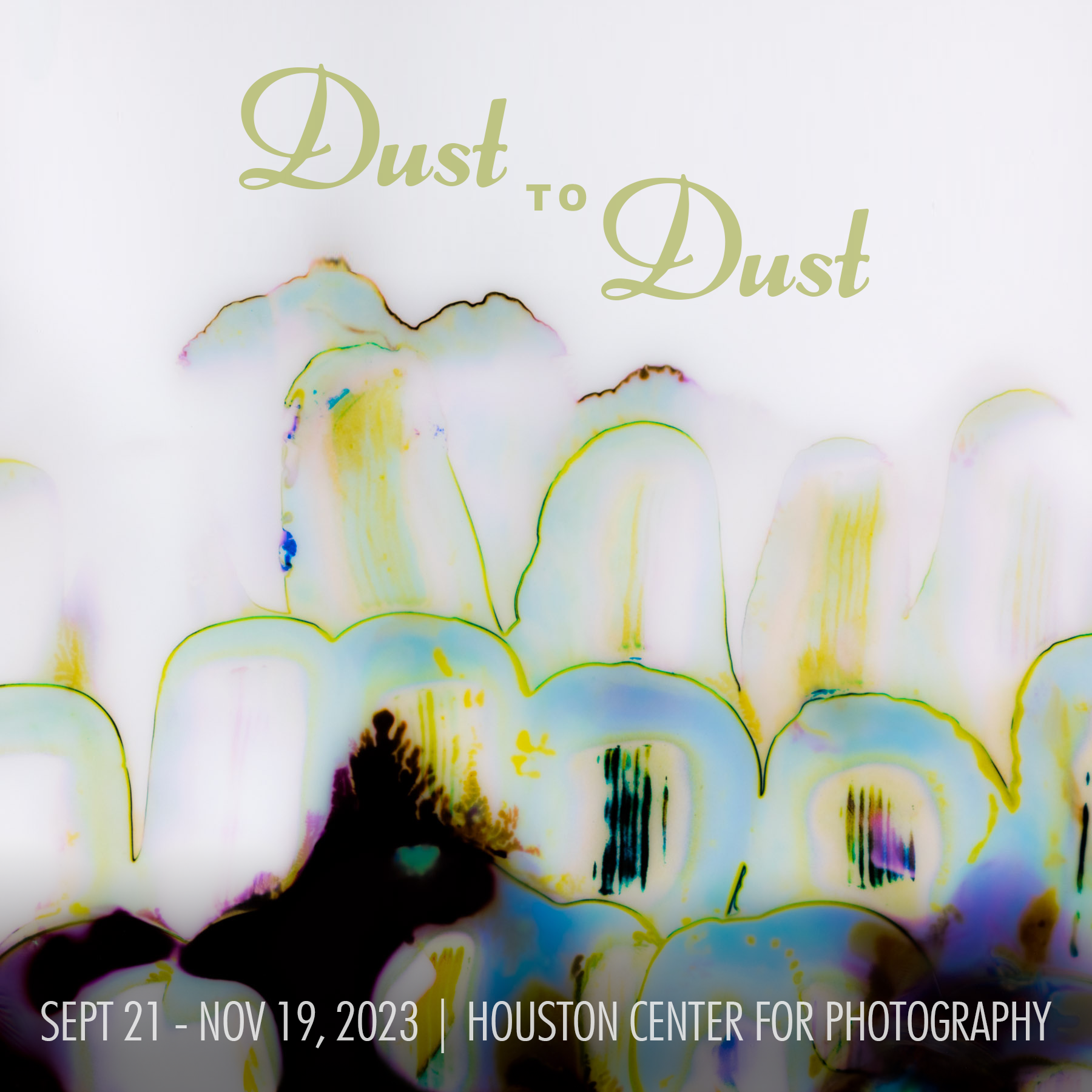 dust to dust in houston