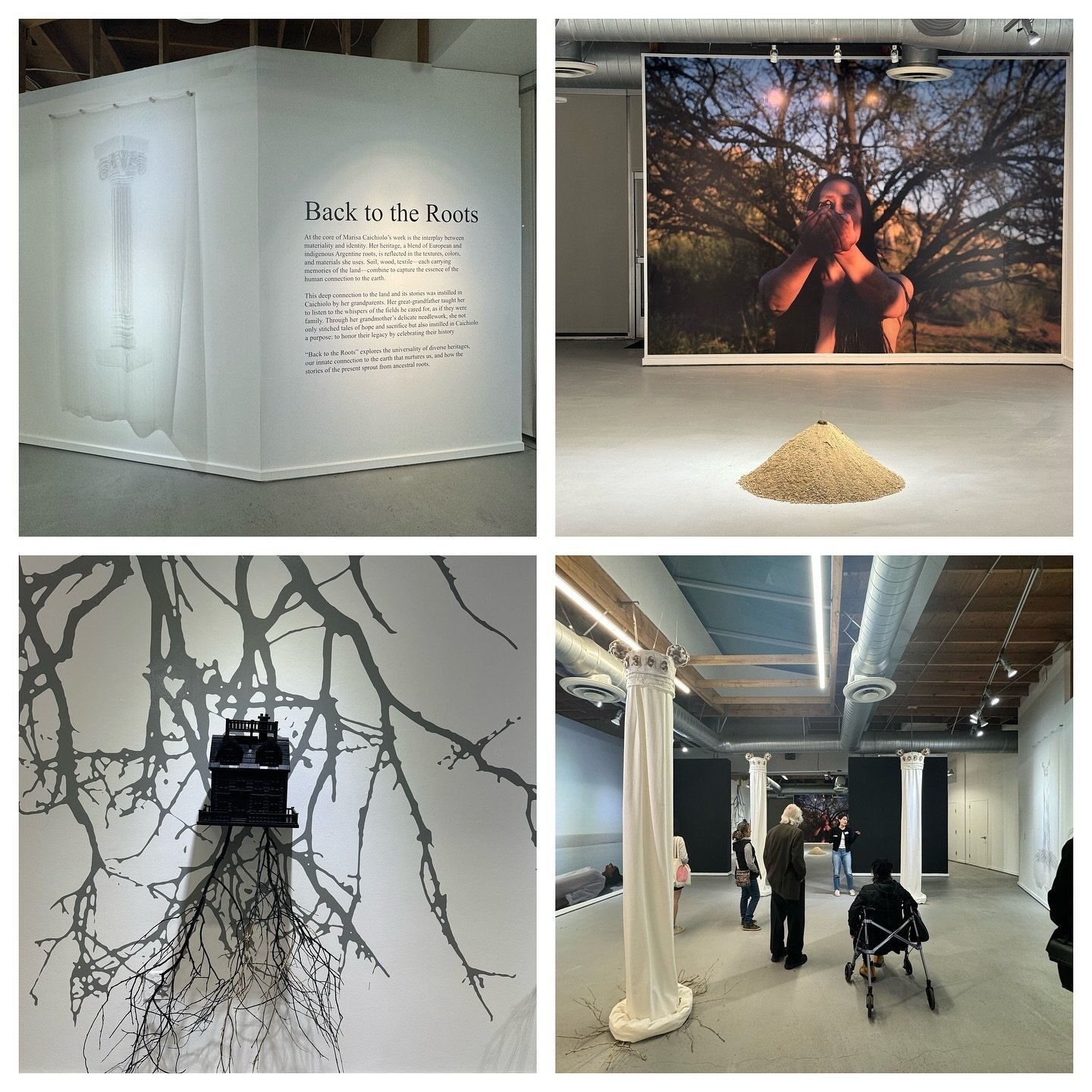 Our art center just down the street has a solo exhibition/installation &quot;Back to the Roots&quot; by @marisacaichiolo exploring the &quot;interplay between materiality and identity&quot;. And as always @manhattanbeachartcenter has an area with a r