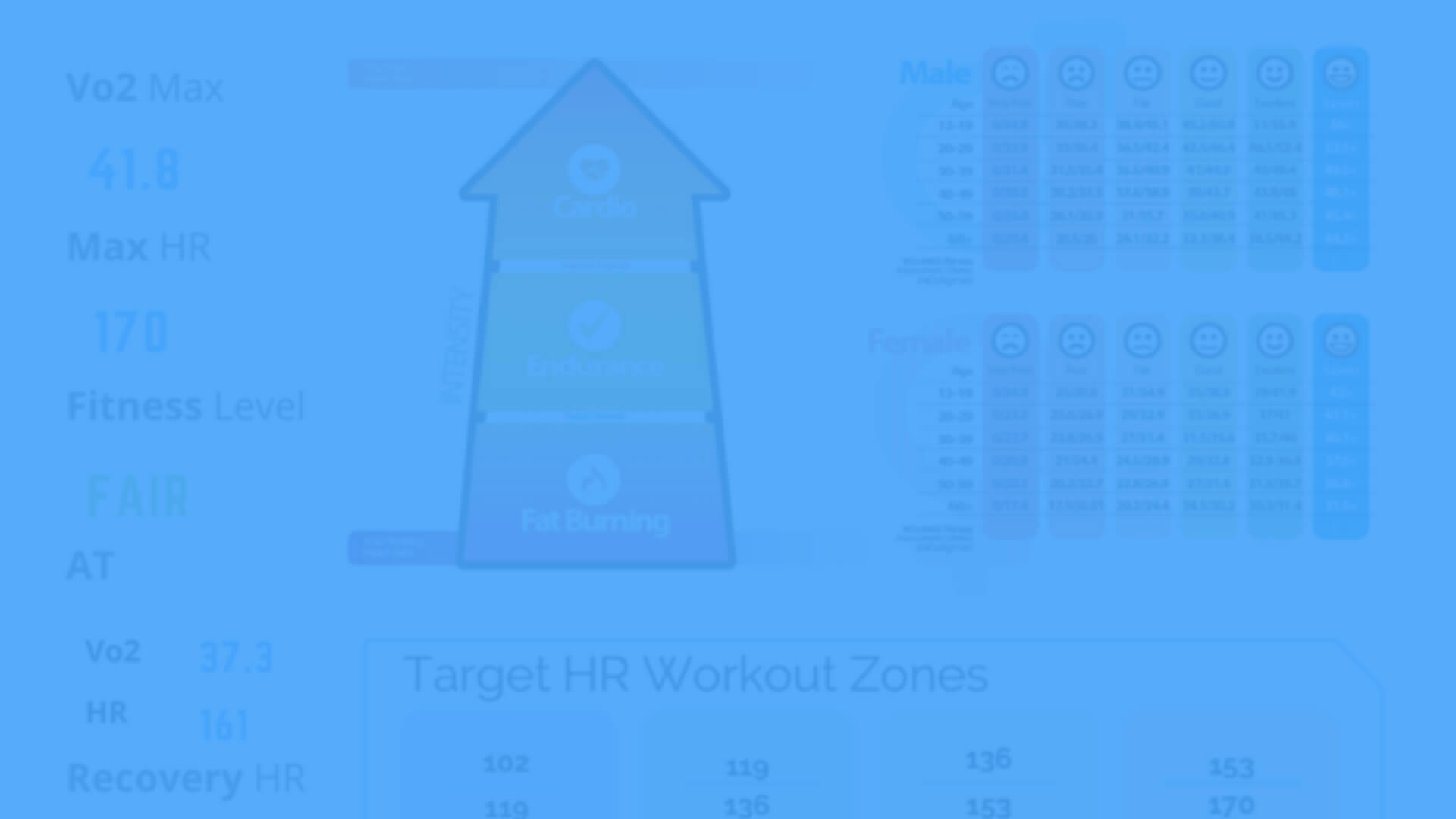 VO2 Max (Definition, Chart, and FAQ) Dexafit