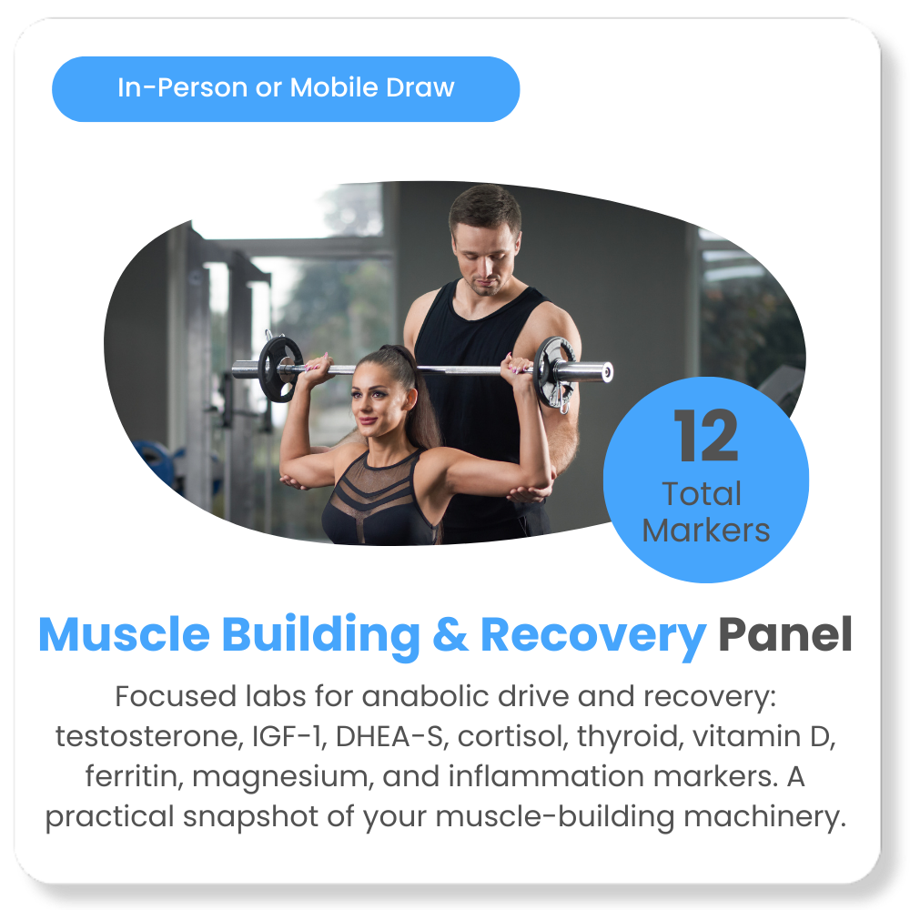 Copy of Shop Panels.png