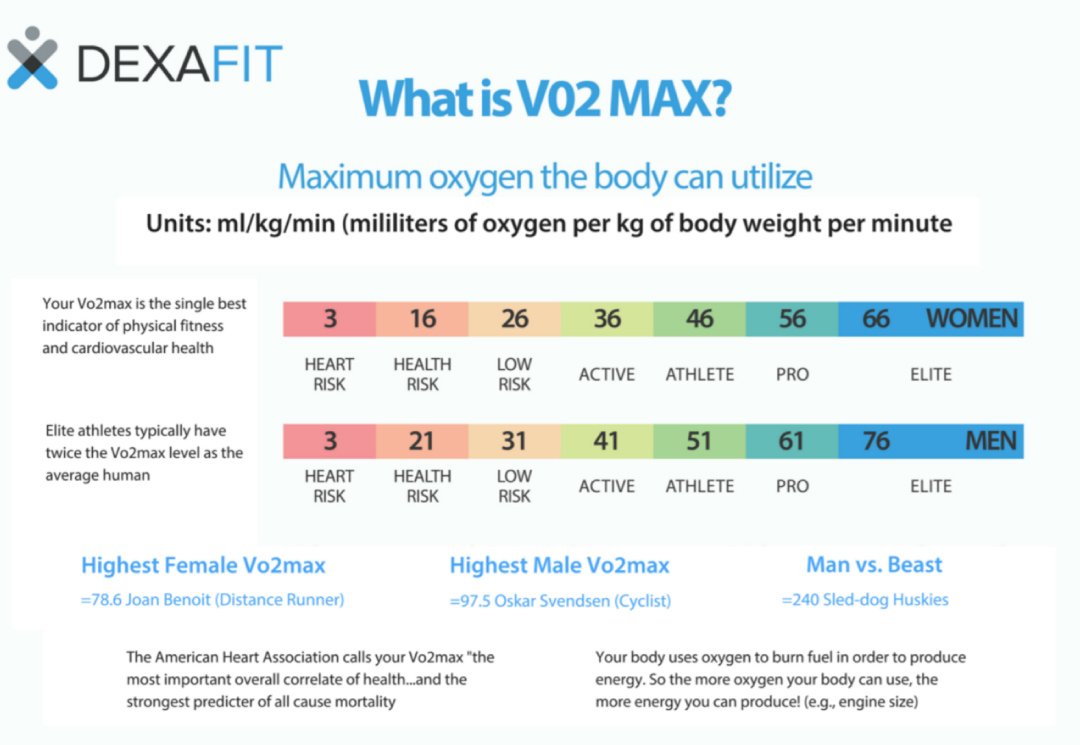 VO2 Max Testing: Procedure and VO2 Max By Age Charts