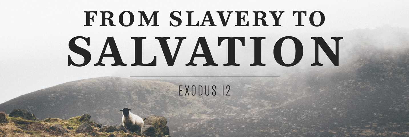 Slavery to Salvation Cover image.jpg