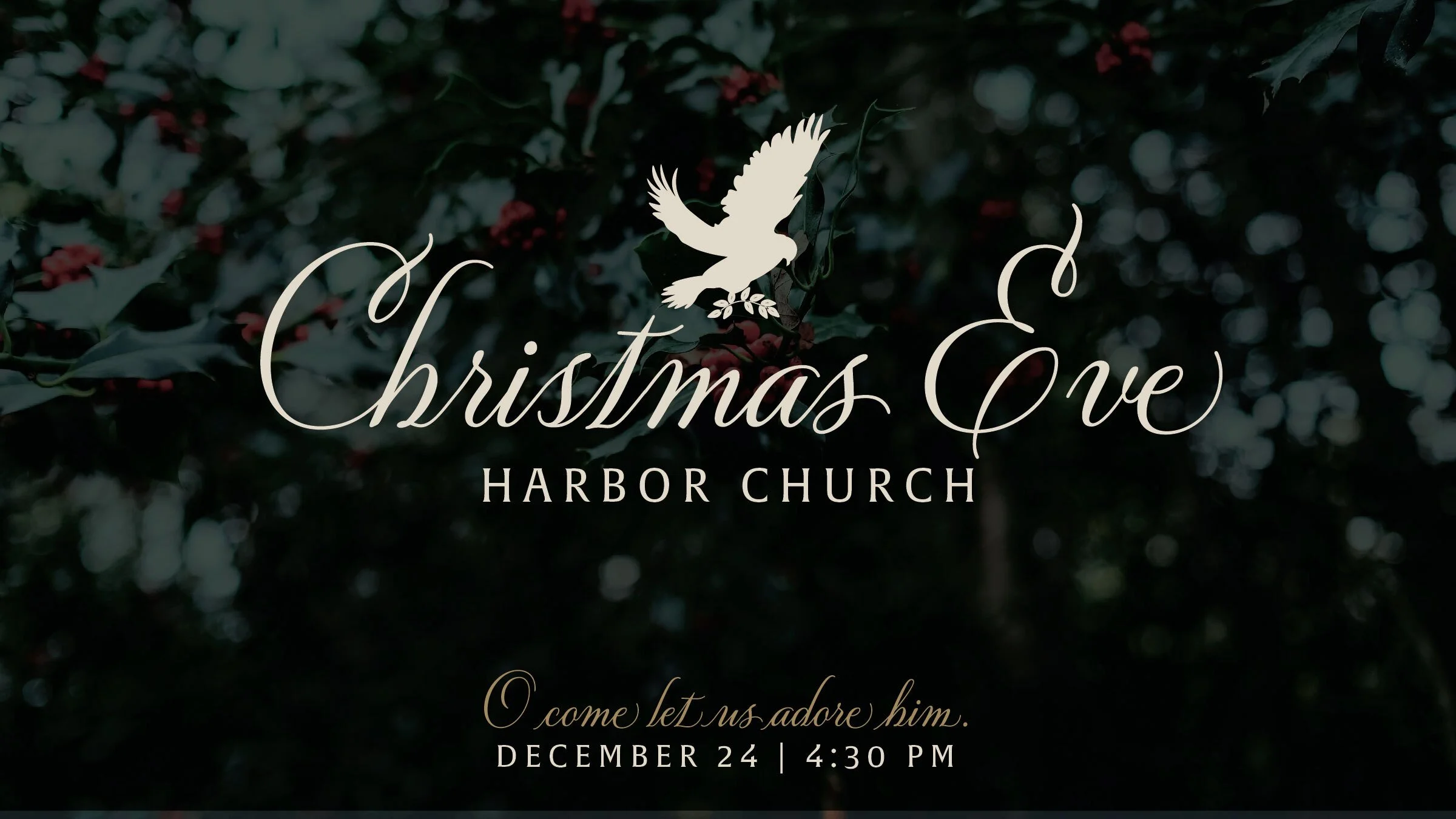 Christmas 24-05 (2).jpg