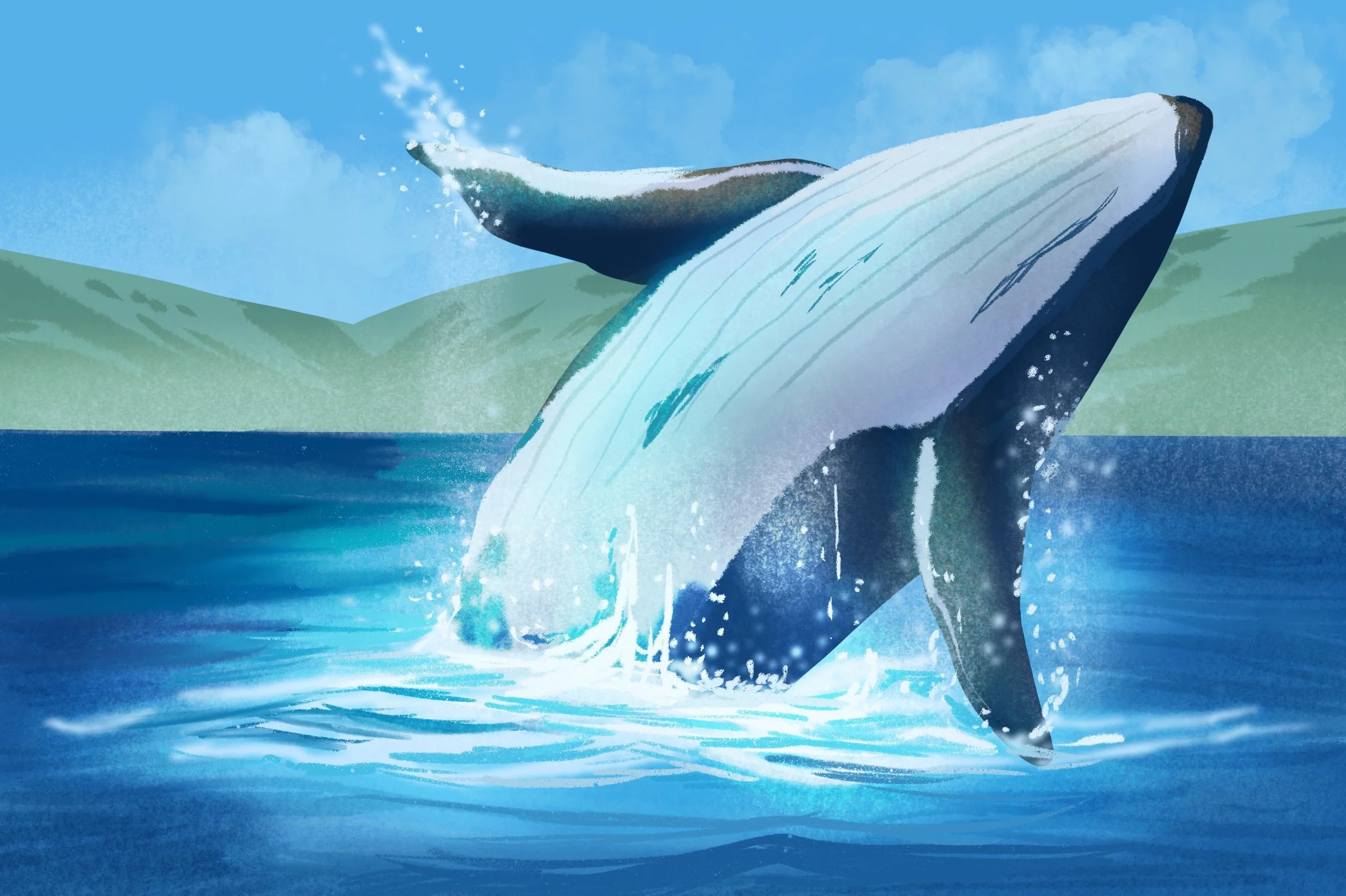 Lección Descomunal- Client Work