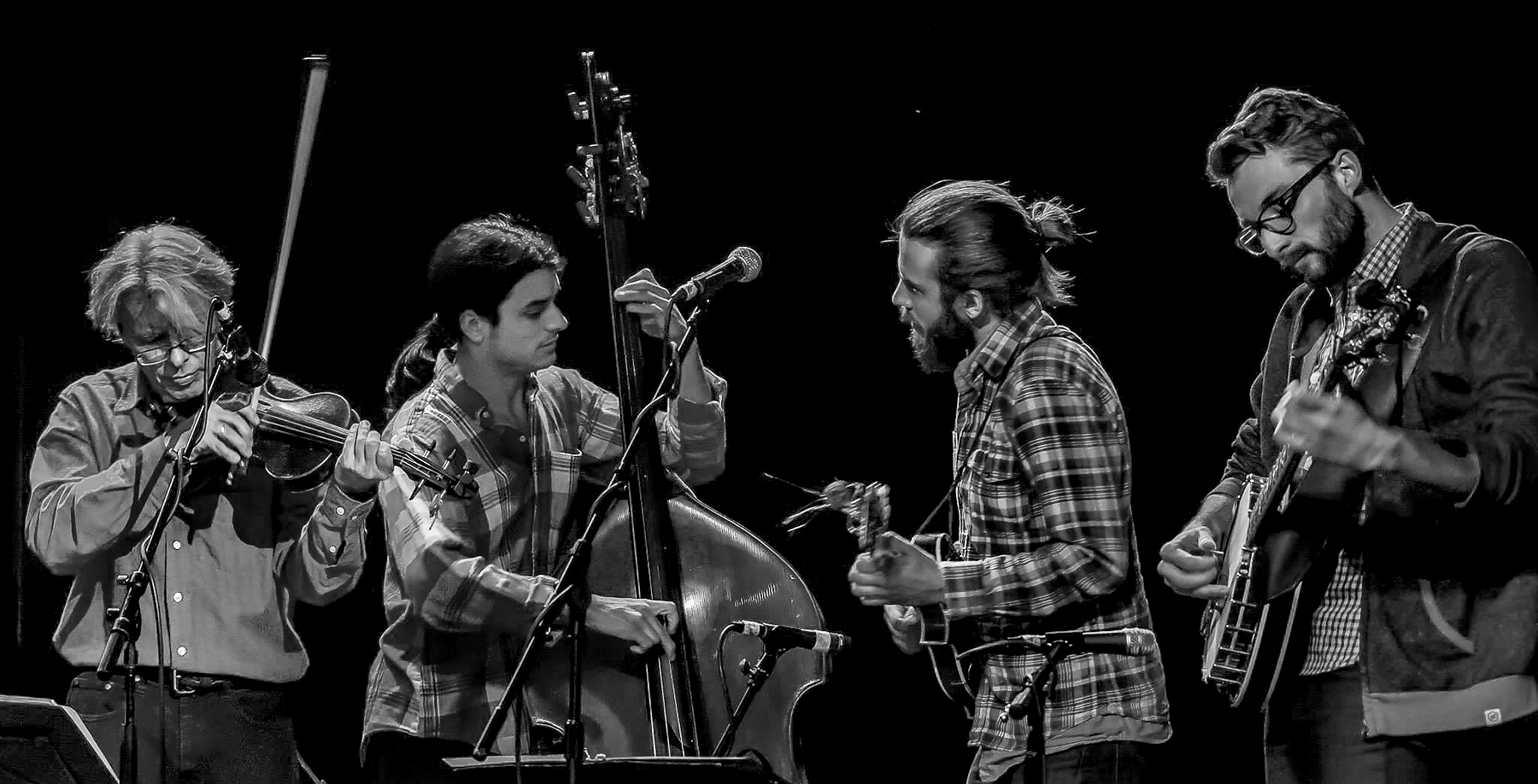 darol anger, ethan jodziewicz, jacob jolliff, and wesley corbett, photo by eric frommer.