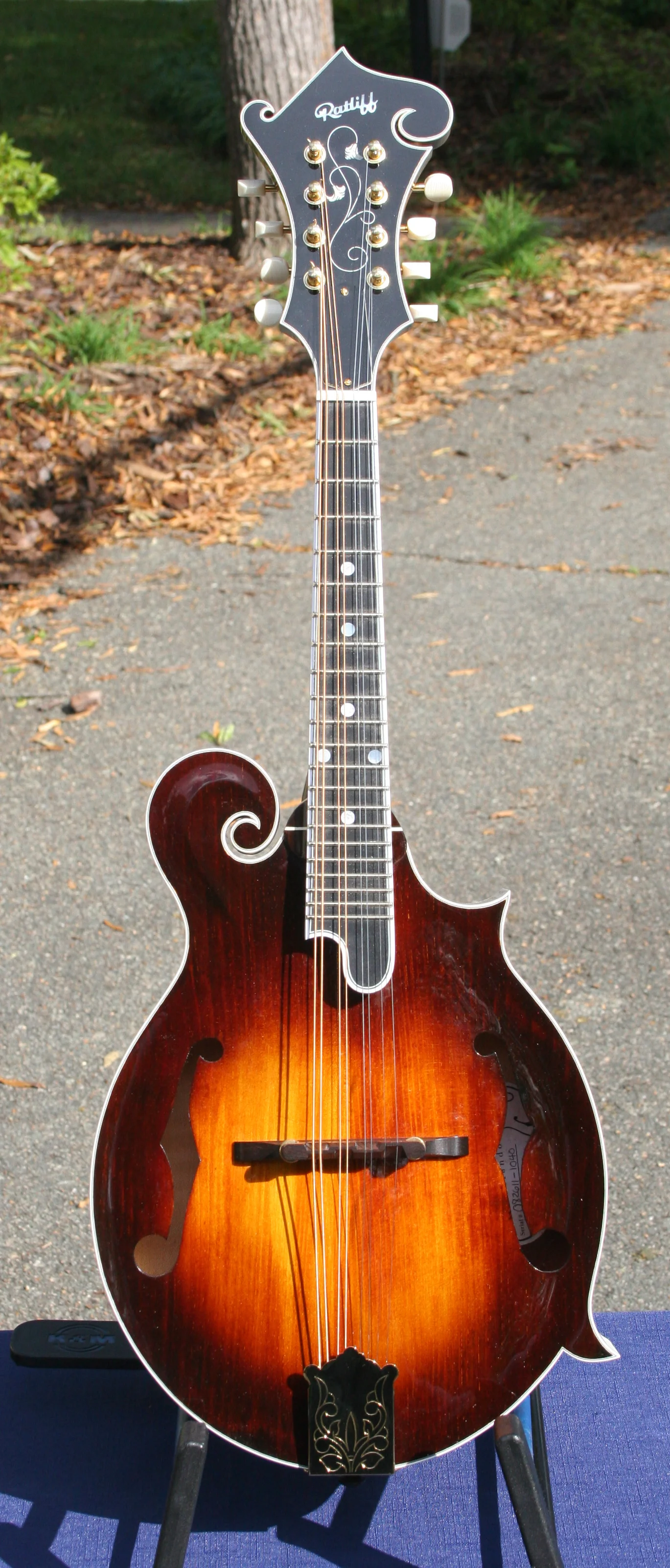 photo by Charles Johnson, mandolin world headquarters