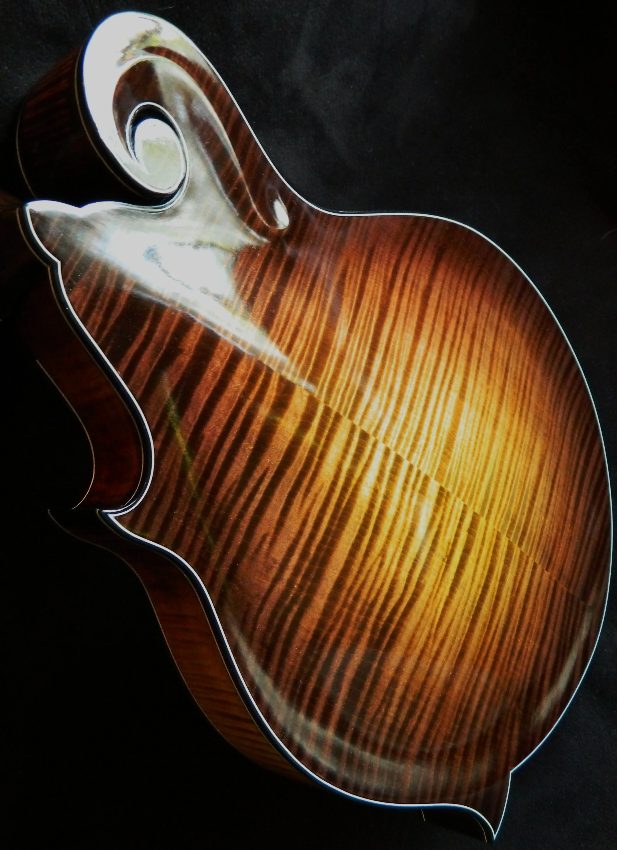 F8 mandolin, photo by Steve Sorensen.