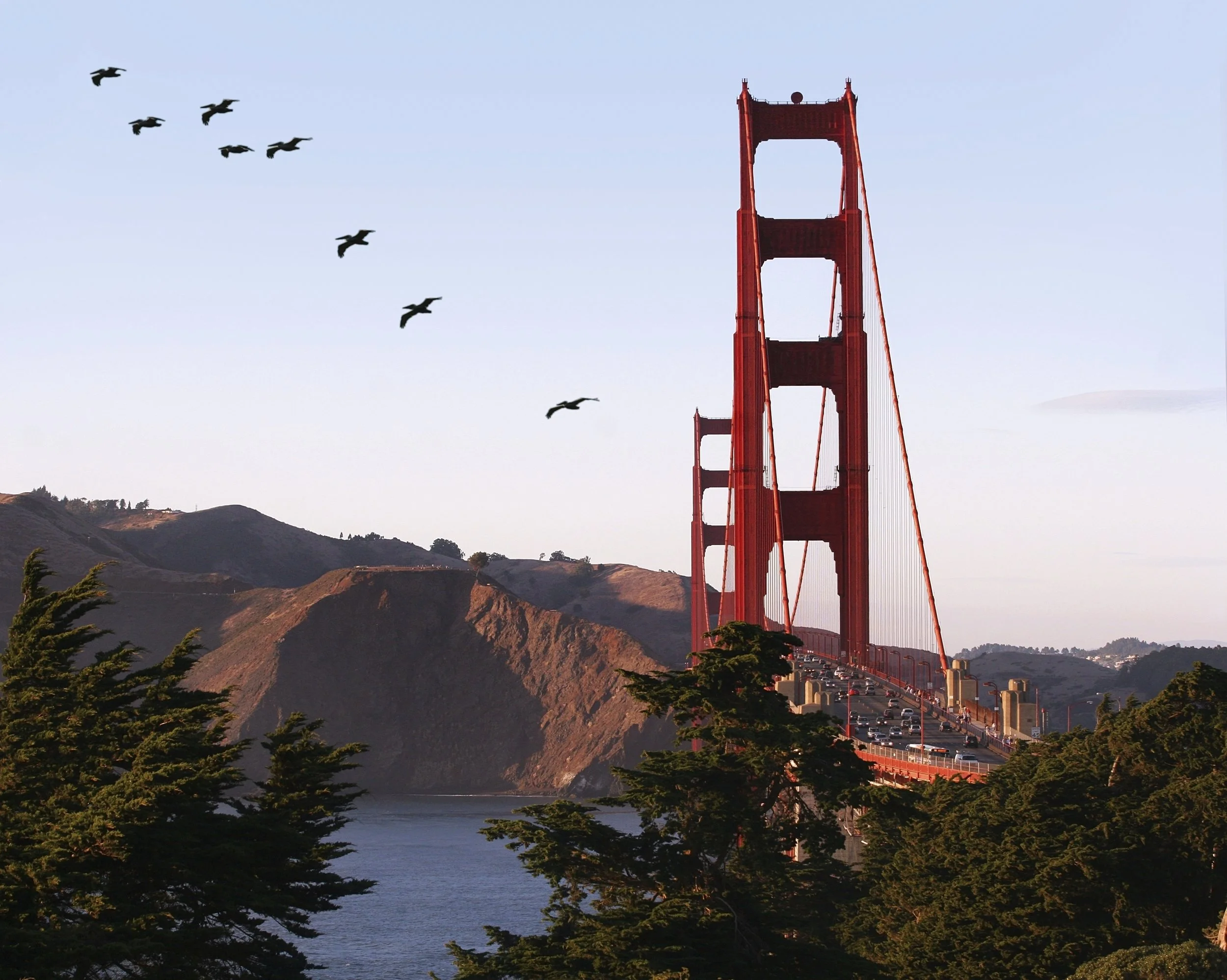 iStock_000000909000_Large (1).JPG