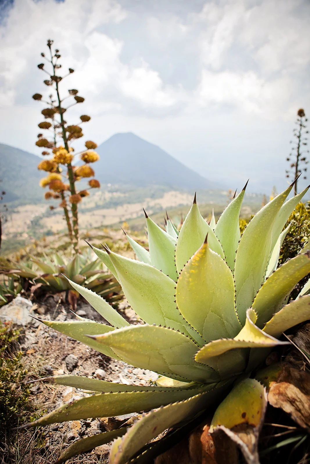 2012_ElSalvador_Feb-2135.jpg