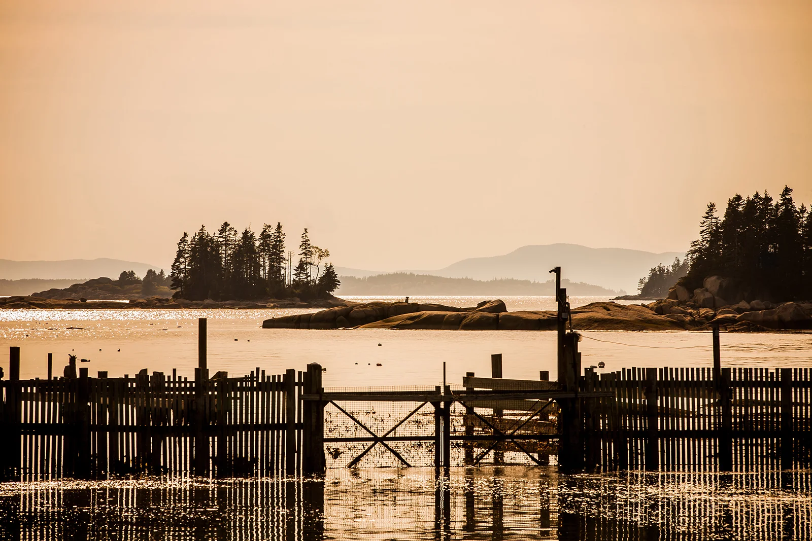2014_Deer_Isle_Maine_June8-067.jpg