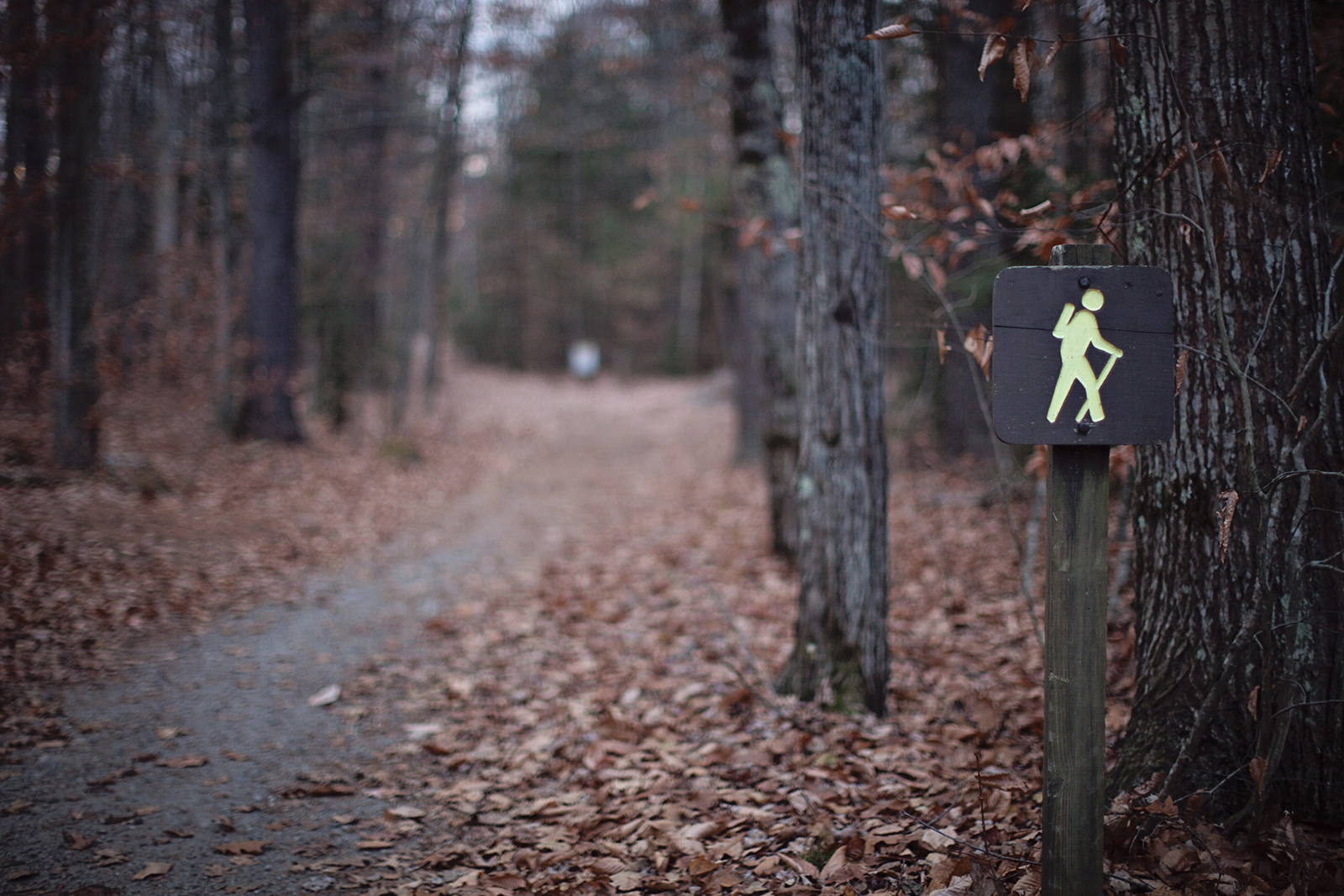 2013_Bradbury_Home_Nov14-001.jpg
