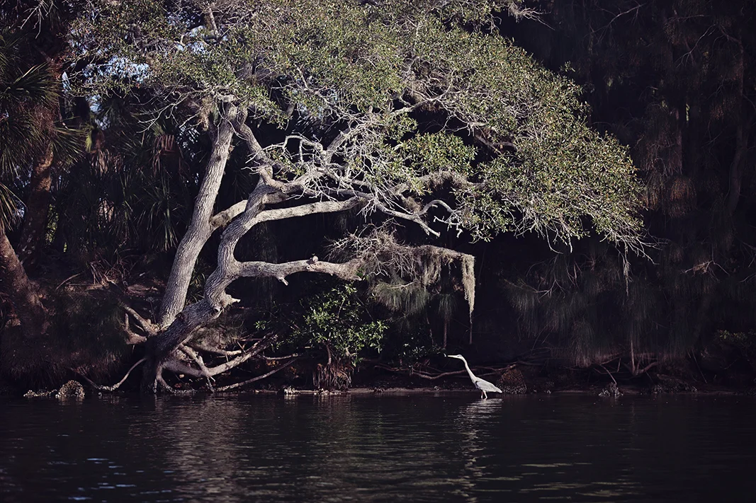 2013_Florida_February-057.jpg